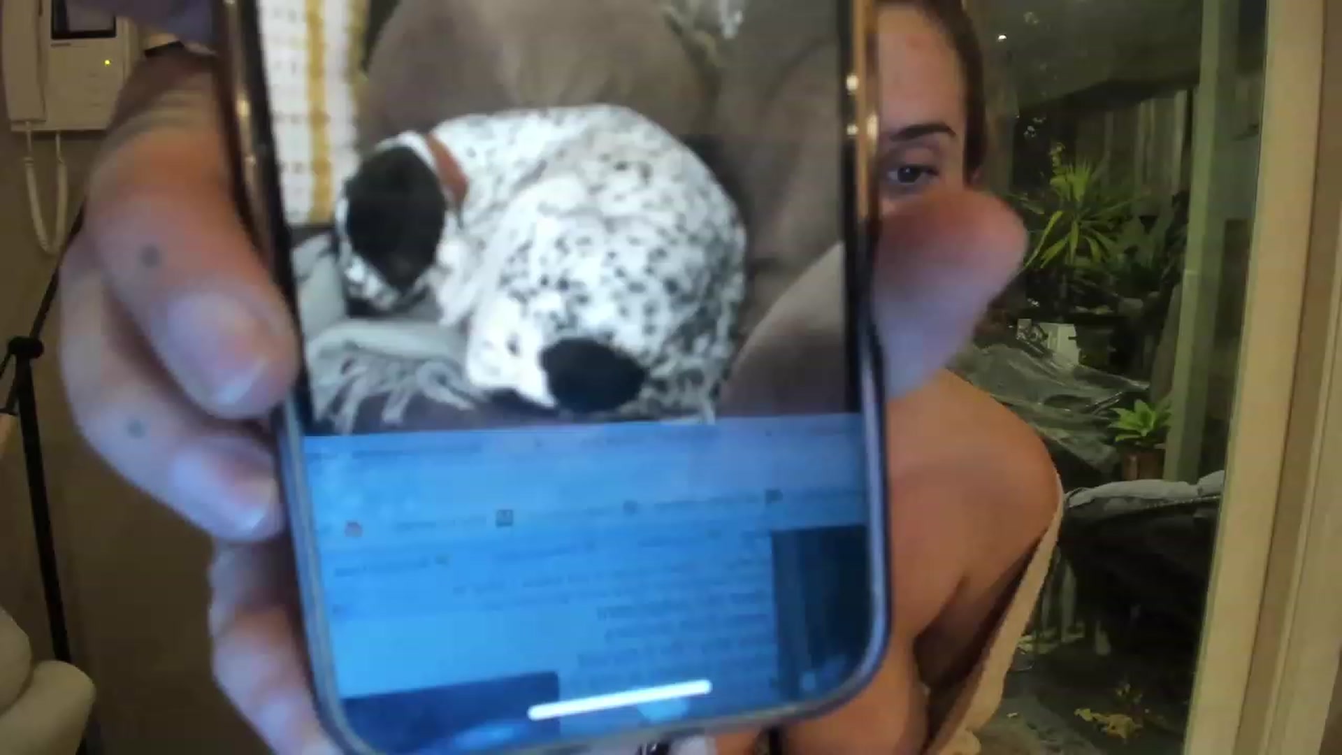 Gallery image thumbnail from HoneyTits_'s myfreecams stream on, 07/01/2023, 13:13 image 15 of 20