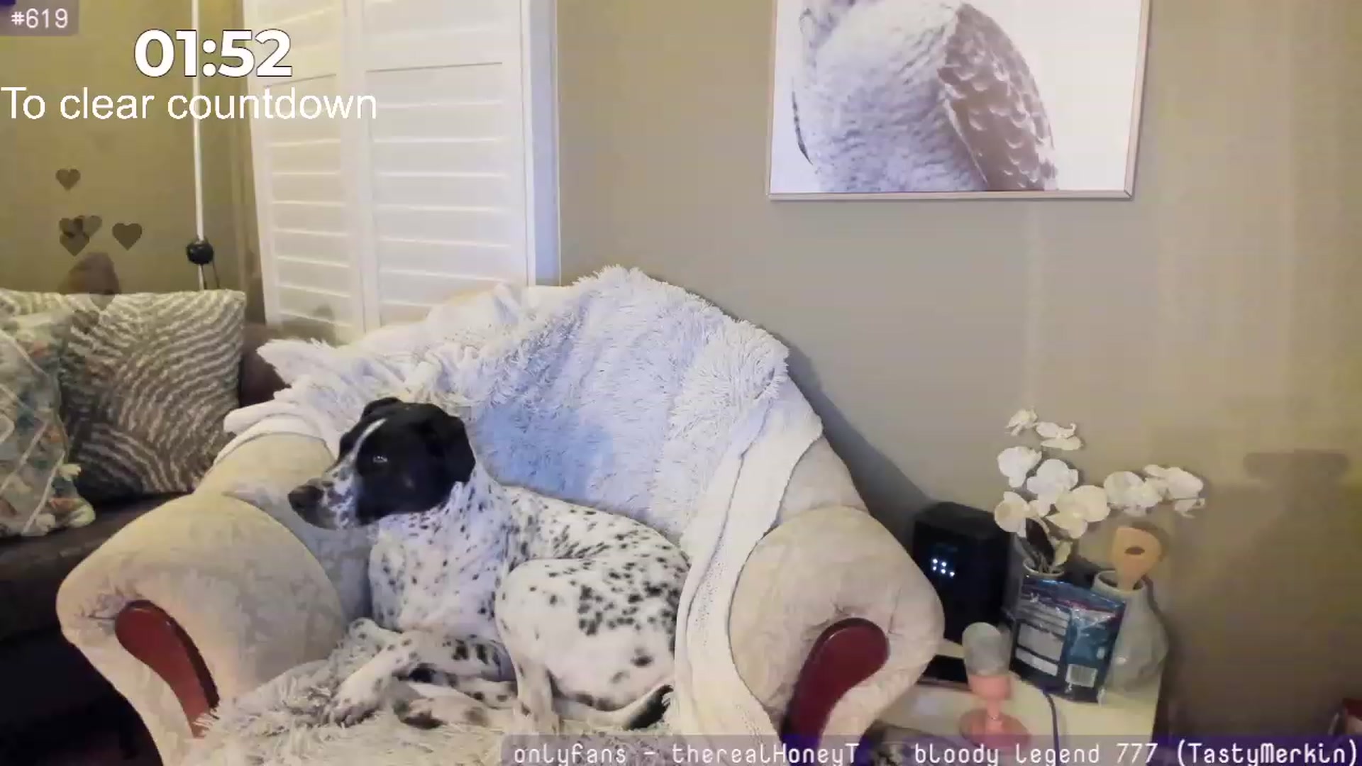 Gallery image thumbnail from HoneyTits_'s myfreecams stream on, 07/02/2023, 10:51 image 14 of 20