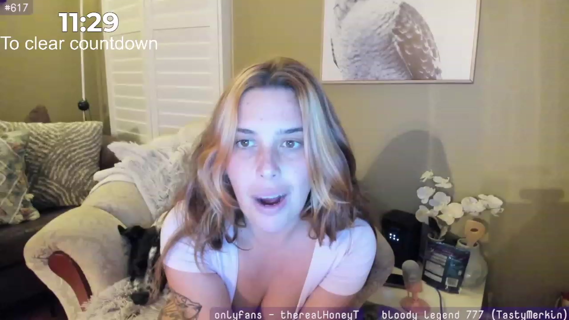 Gallery image thumbnail from HoneyTits_'s myfreecams stream on, 07/02/2023, 10:51 image 12 of 20