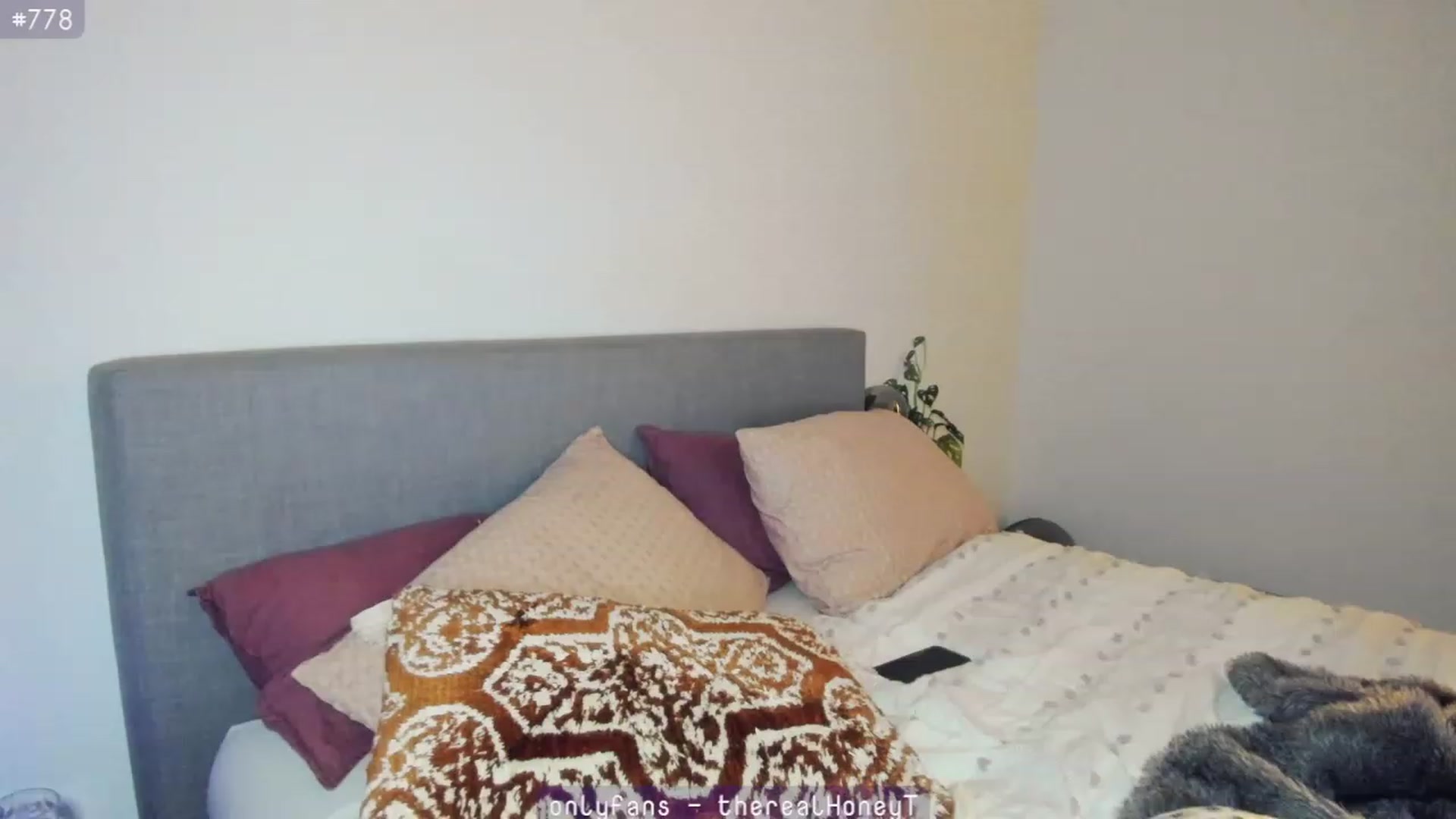 Gallery image thumbnail from HoneyTits_'s myfreecams stream on, 07/13/2023, 09:39 image 1 of 20