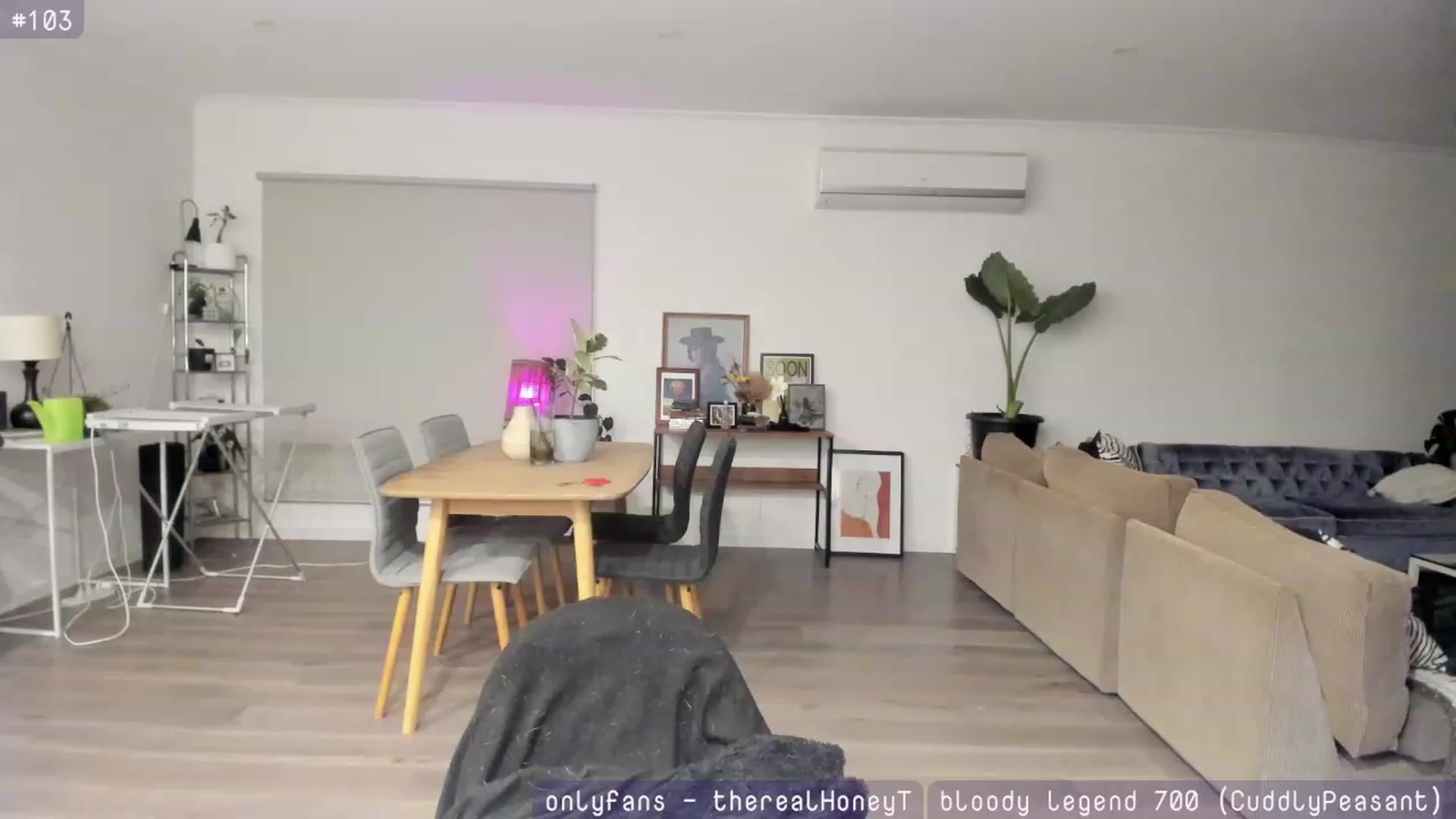 Gallery image thumbnail from HoneyTits_'s myfreecams stream on, 08/01/2023, 09:44 image 13 of 20