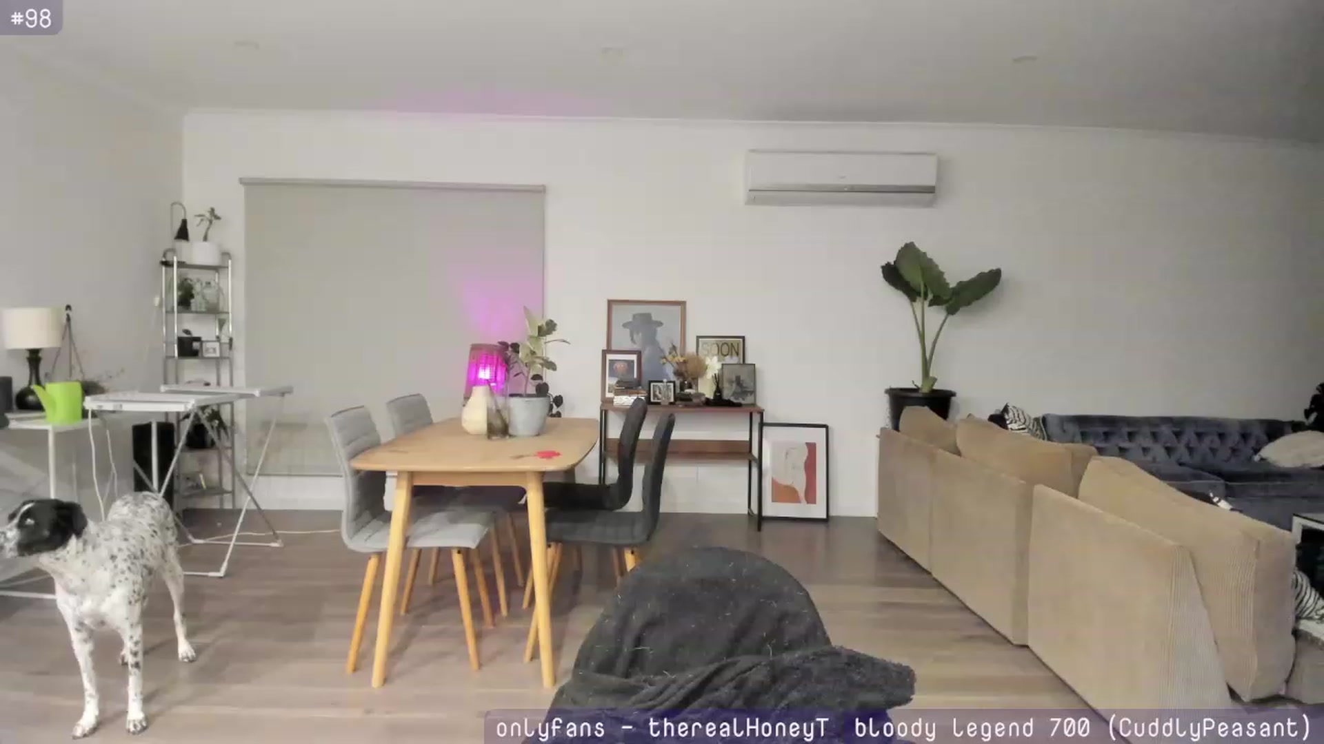 Gallery image thumbnail from HoneyTits_'s myfreecams stream on, 08/01/2023, 09:44 image 4 of 20