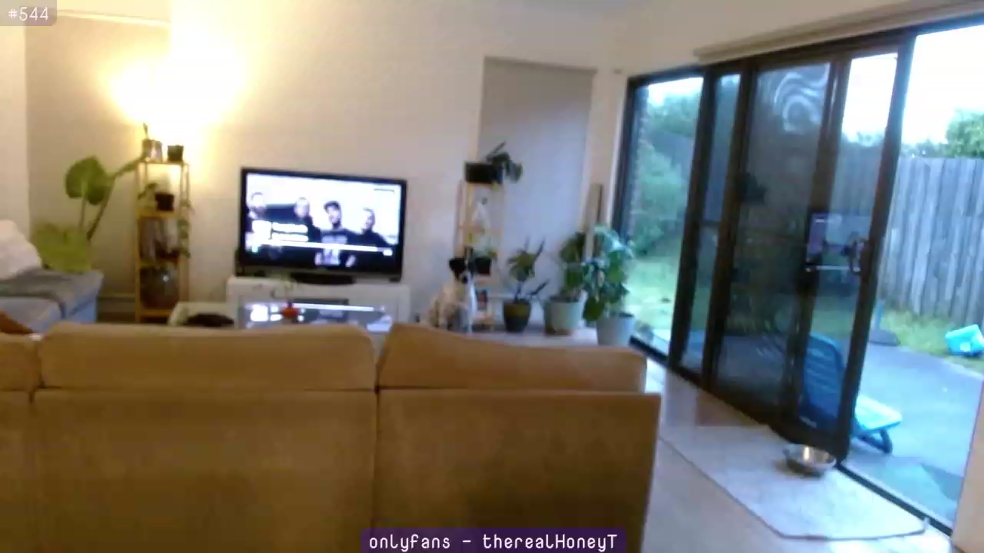Gallery image thumbnail from HoneyTits_'s myfreecams stream on, 12/02/2023, 10:43 image 12 of 20