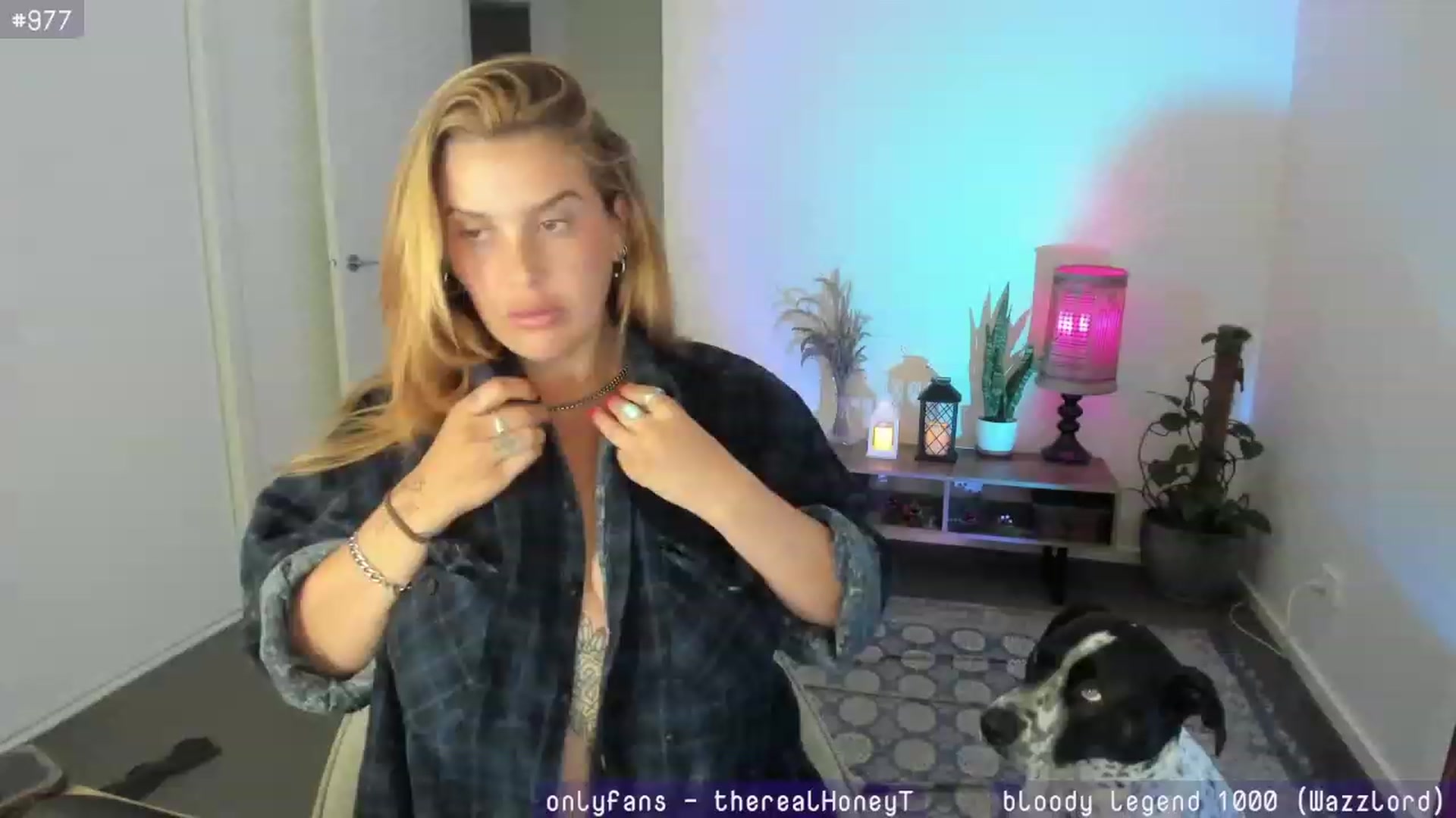 Gallery image thumbnail from HoneyTits_'s myfreecams stream on, 12/09/2023, 10:37 image 18 of 20