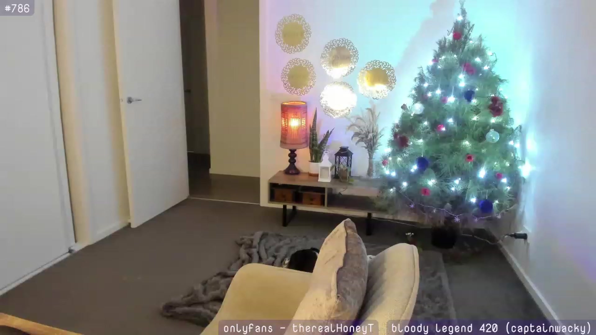 Gallery image thumbnail from HoneyTits_'s myfreecams stream on, 12/18/2023, 09:29 image 3 of 20