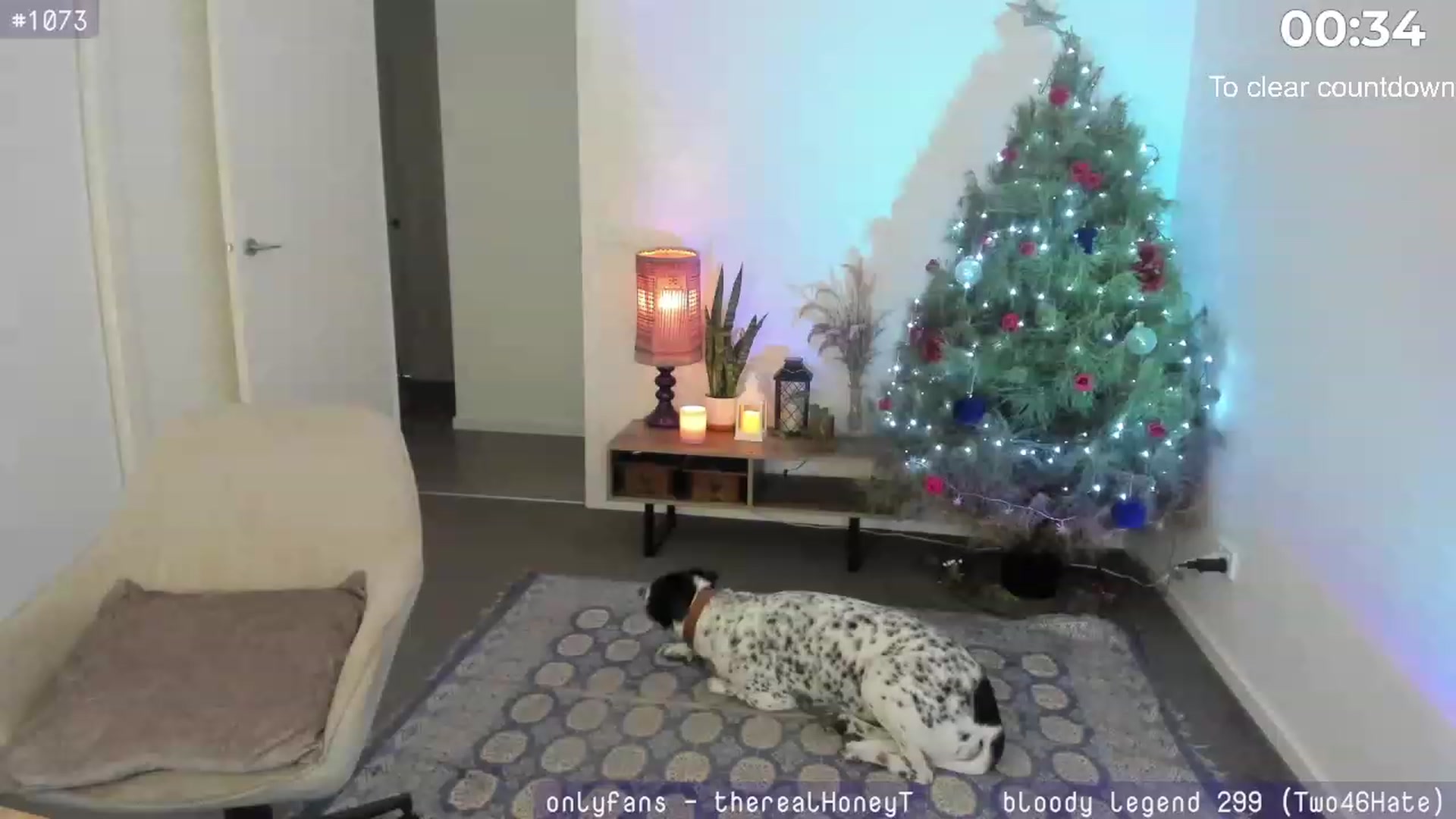Gallery image thumbnail from HoneyTits_'s myfreecams stream on, 01/05/2024, 08:12 image 1 of 20