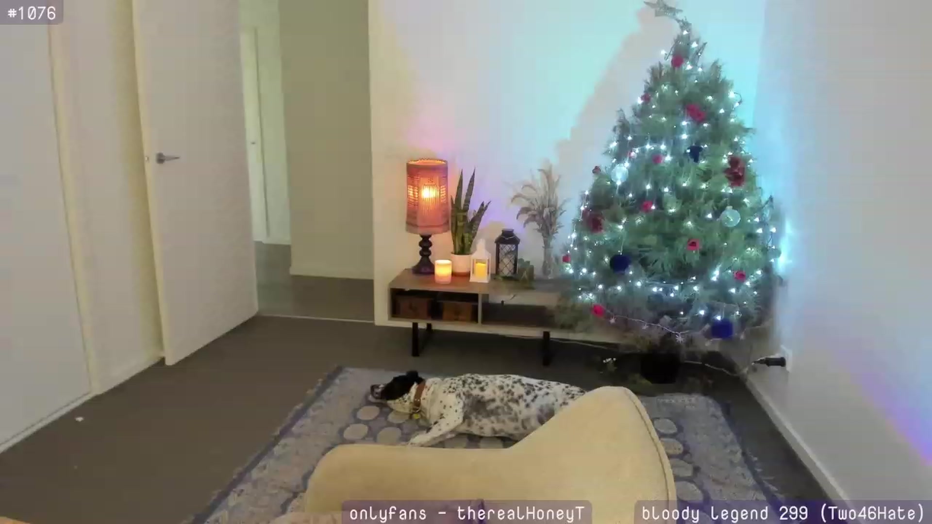 Gallery image thumbnail from HoneyTits_'s myfreecams stream on, 01/05/2024, 08:12 image 4 of 20