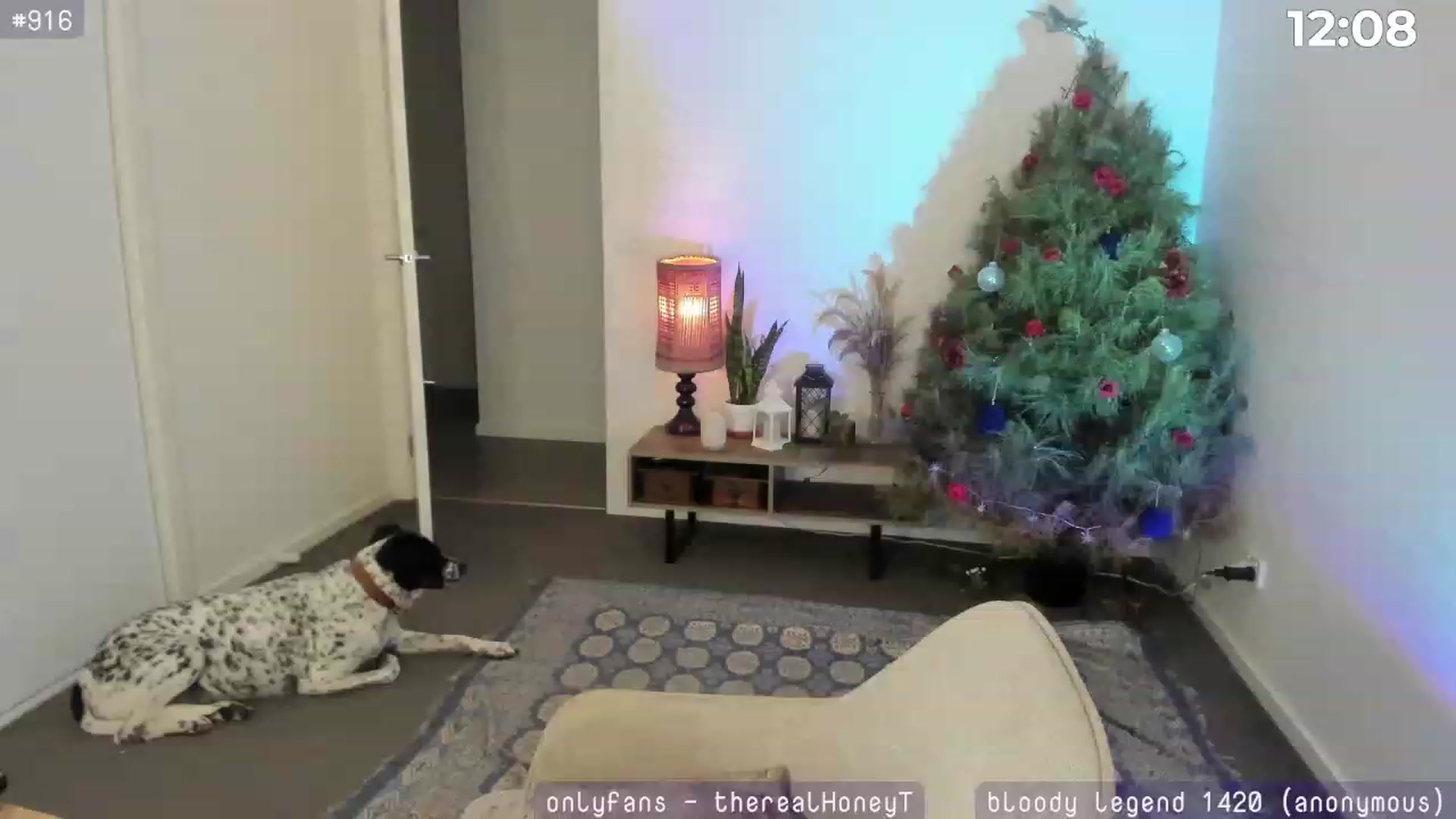 Gallery image thumbnail from HoneyTits_'s myfreecams stream on, 01/07/2024, 07:01 image 12 of 20