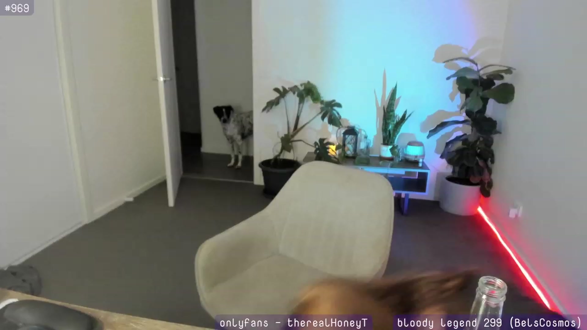 Gallery image thumbnail from HoneyTits_'s myfreecams stream on, 01/25/2024, 08:59 image 15 of 20
