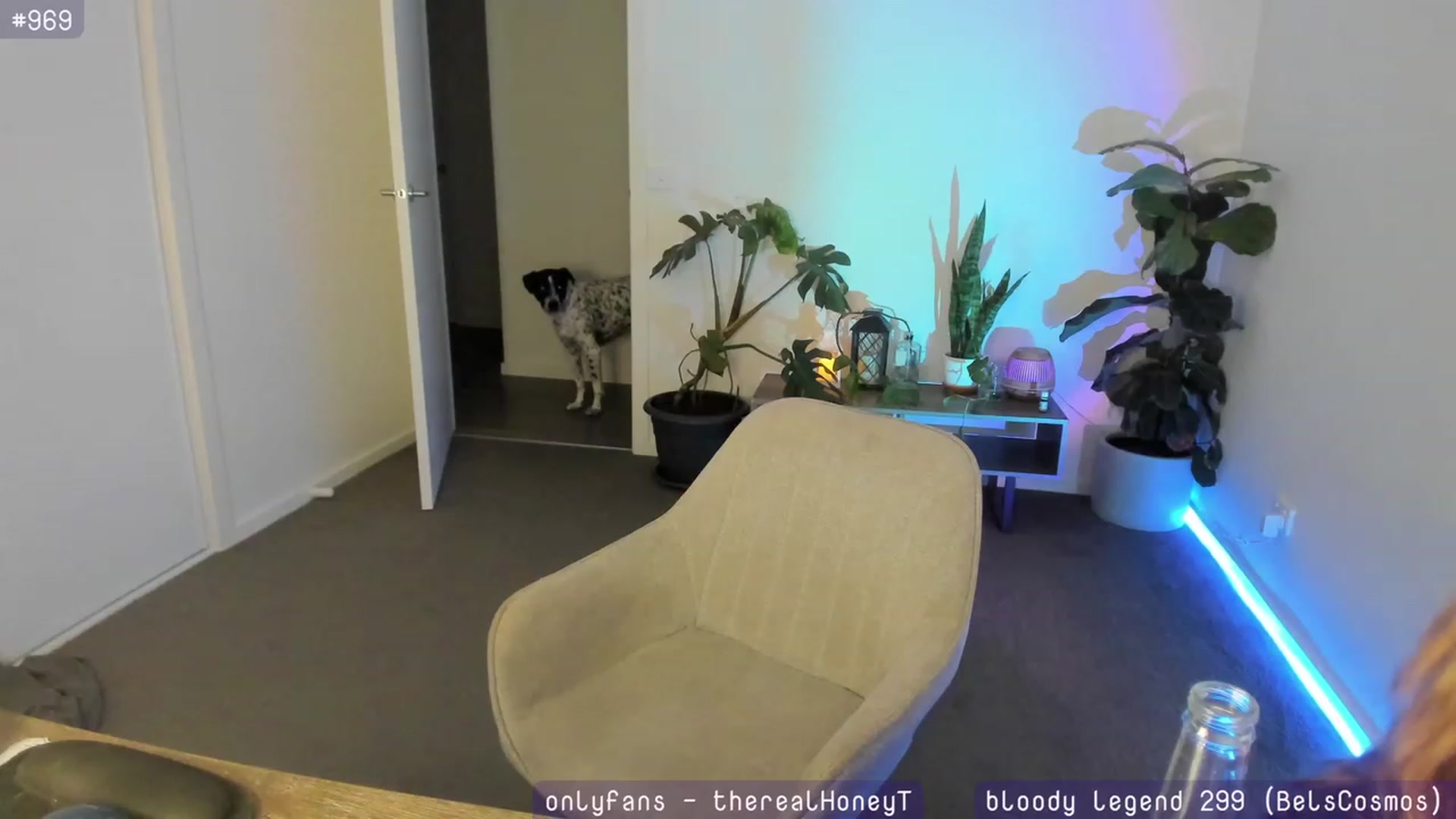 Gallery image thumbnail from HoneyTits_'s myfreecams stream on, 01/25/2024, 08:59 image 16 of 20