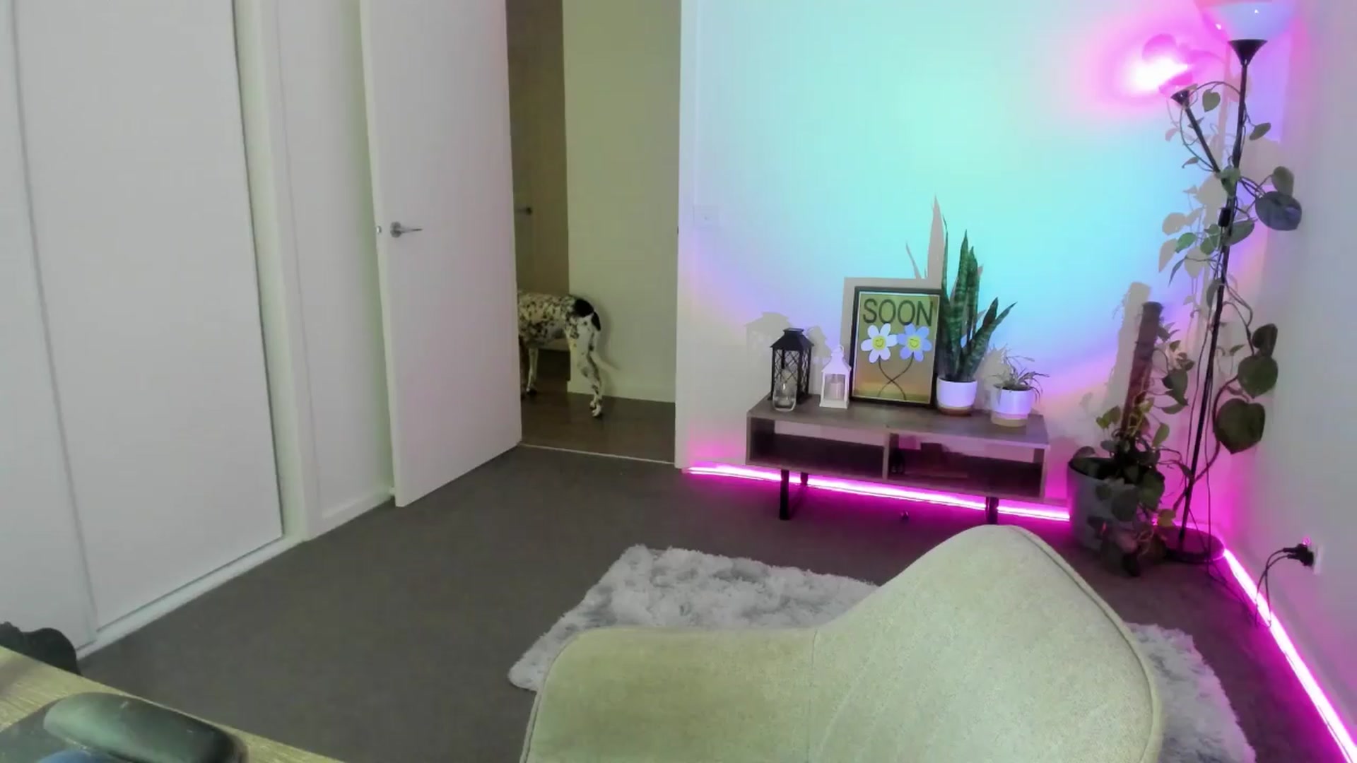 Gallery image thumbnail from HoneyTits_'s myfreecams stream on, 04/02/2024, 07:52 image 10 of 20