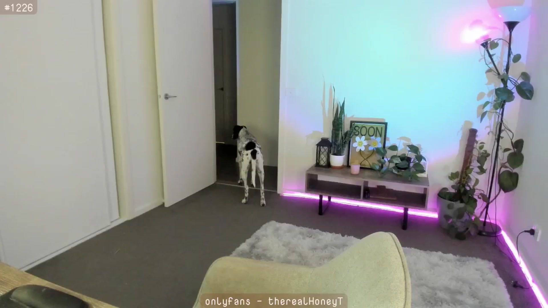 Gallery image thumbnail from HoneyTits_'s myfreecams stream on, 05/08/2024, 10:51 image 9 of 20