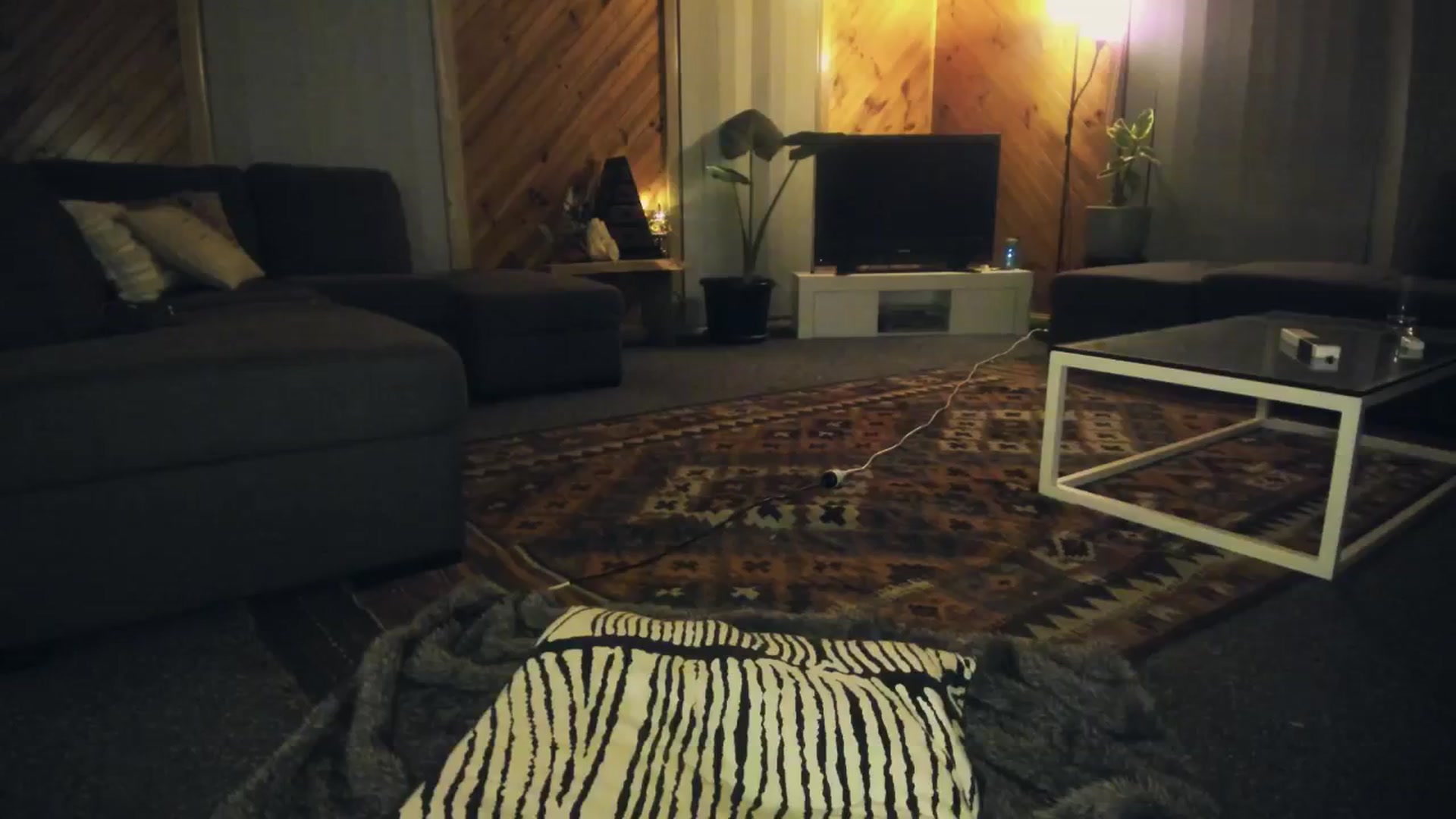 Gallery image thumbnail from HoneyTits_'s myfreecams stream on, 06/16/2024, 08:41 image 14 of 20