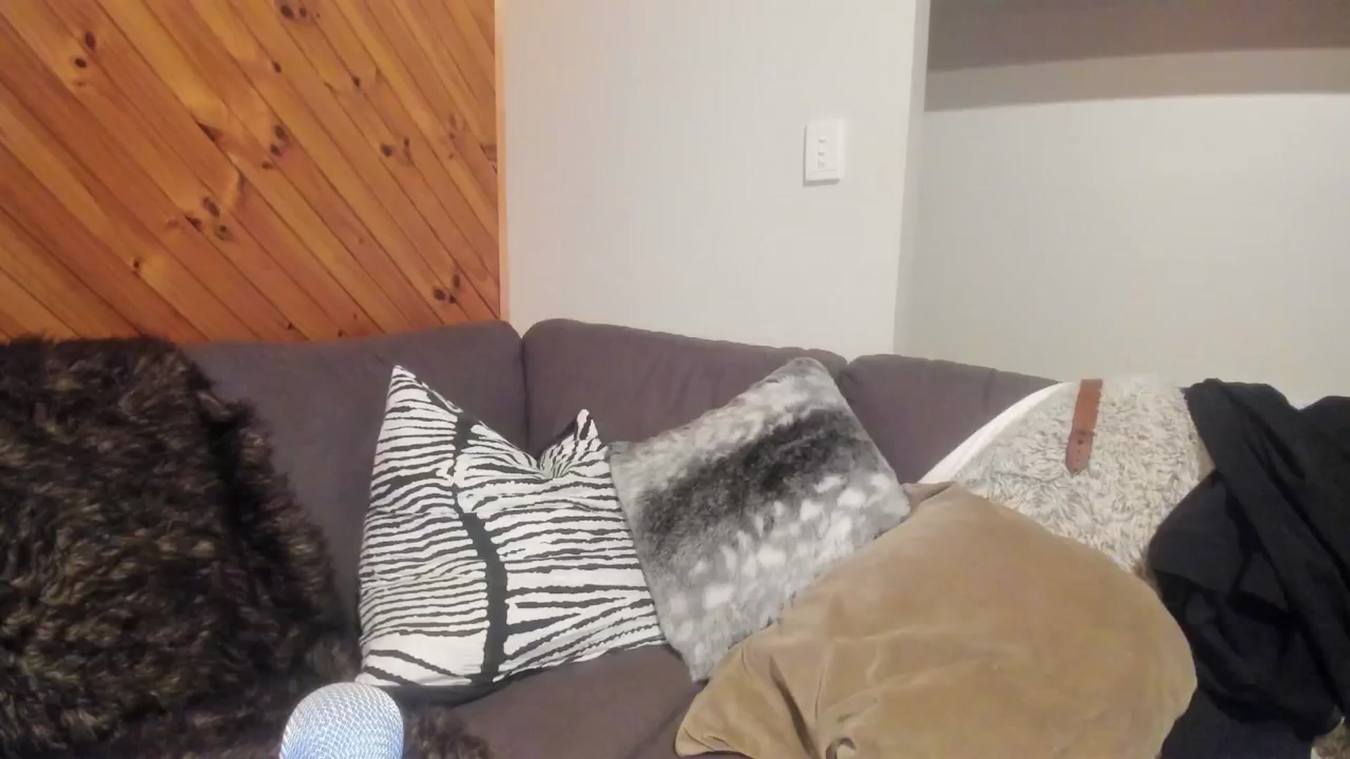 Gallery image thumbnail from HoneyTits_'s myfreecams stream on, 07/12/2024, 10:13 image 18 of 20
