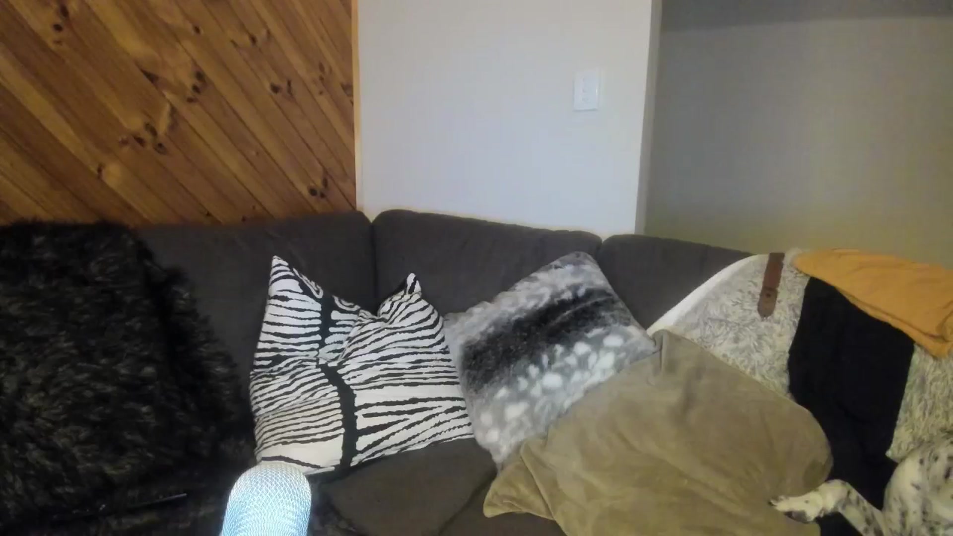Gallery image thumbnail from HoneyTits_'s myfreecams stream on, 07/12/2024, 10:59 image 14 of 20