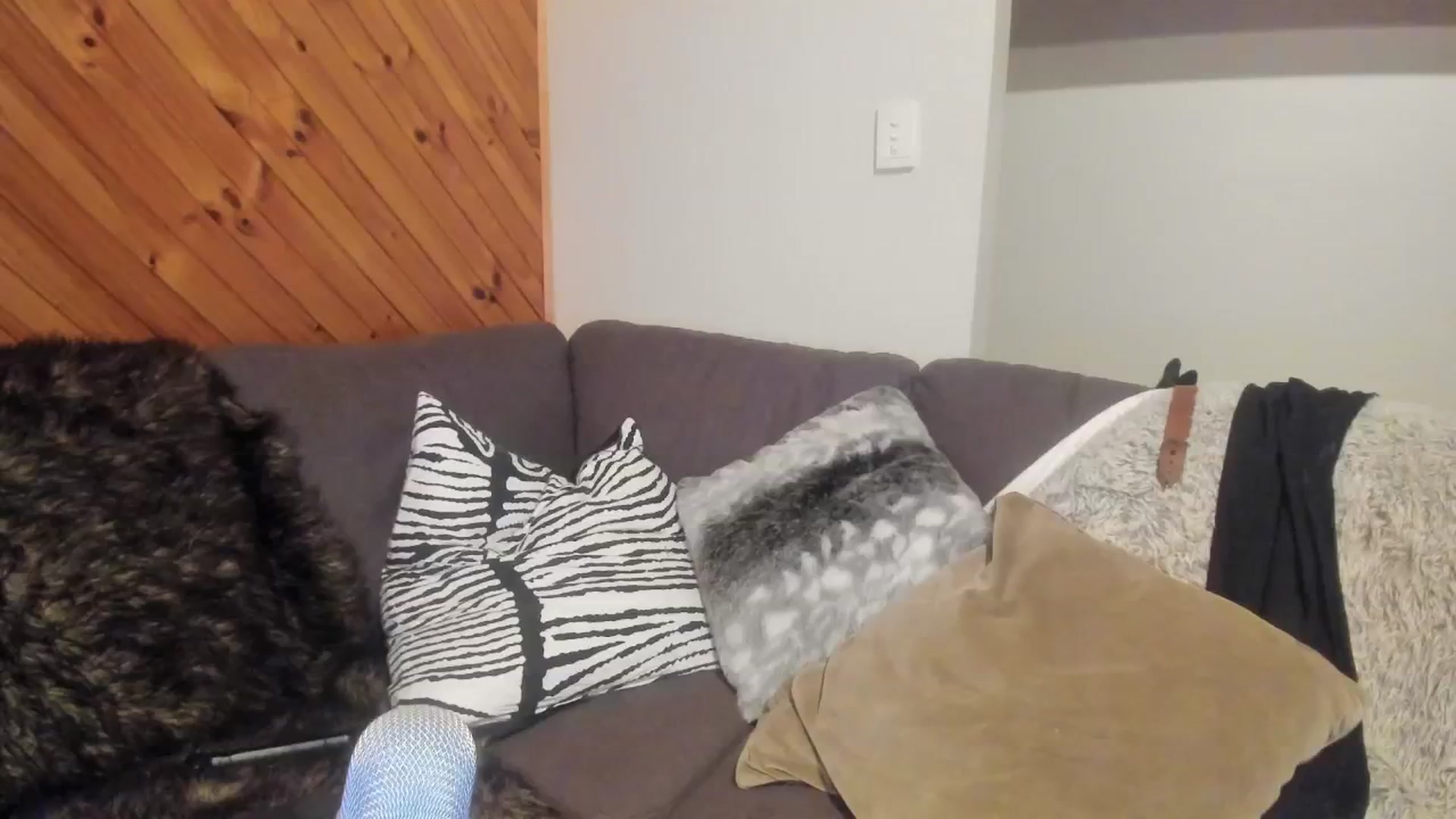 Gallery image thumbnail from HoneyTits_'s myfreecams stream on, 07/12/2024, 10:59 image 2 of 20