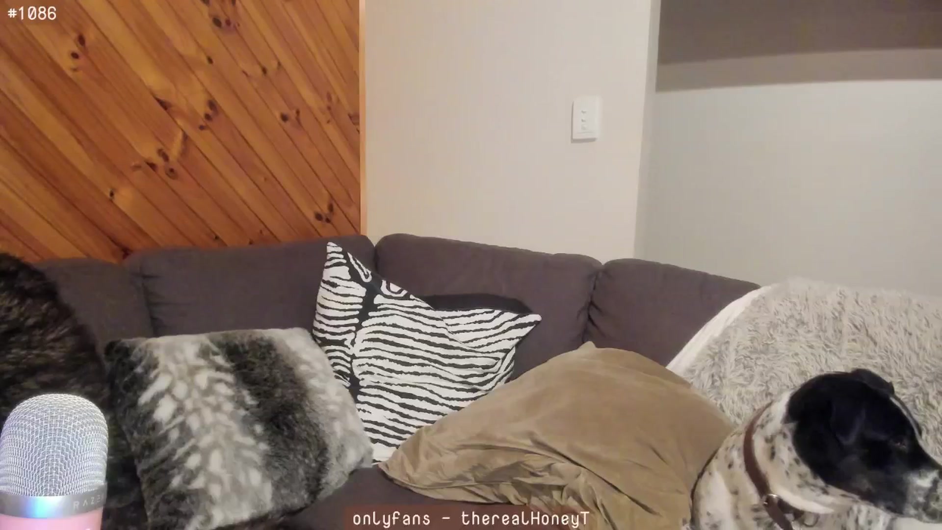 Gallery image thumbnail from HoneyTits_'s myfreecams stream on, 07/14/2024, 08:07 image 5 of 20