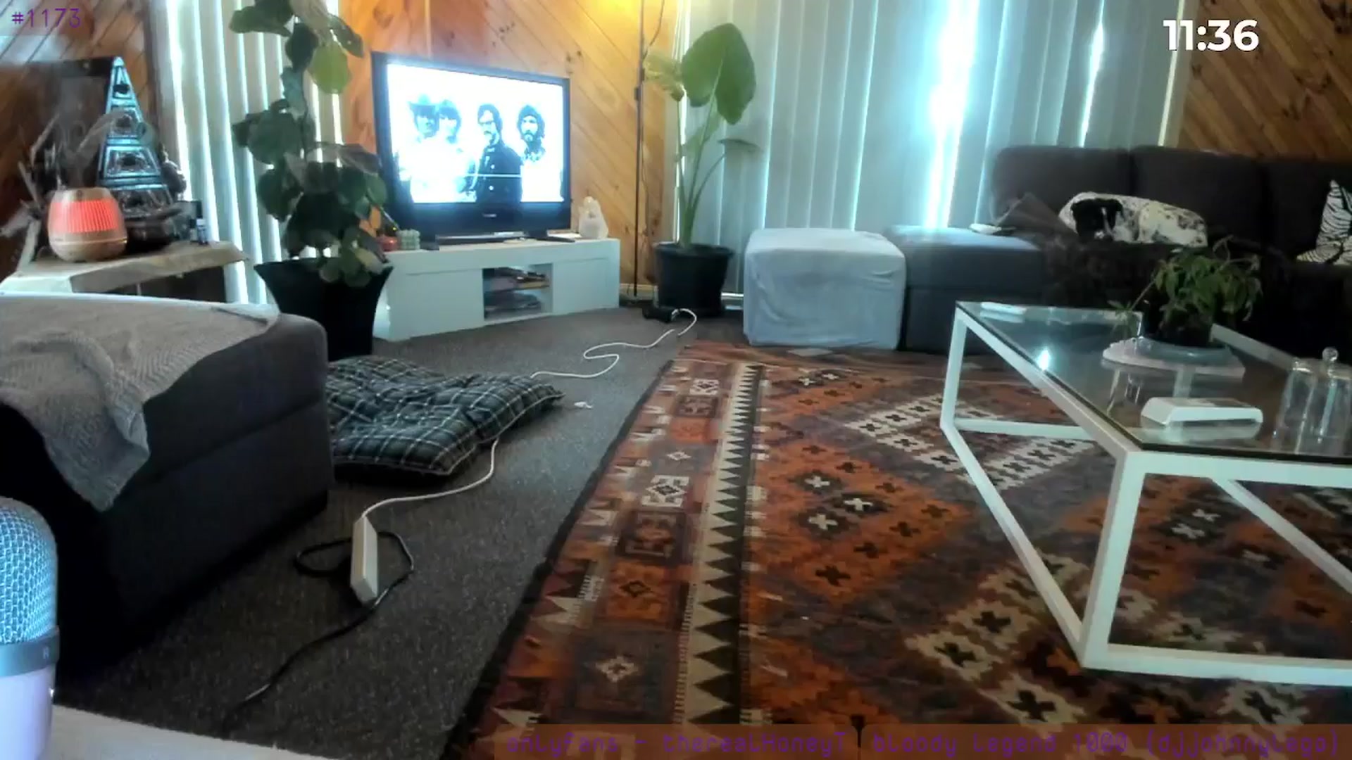 Gallery image thumbnail from HoneyTits_'s myfreecams stream on, 08/09/2024, 06:57 image 16 of 20