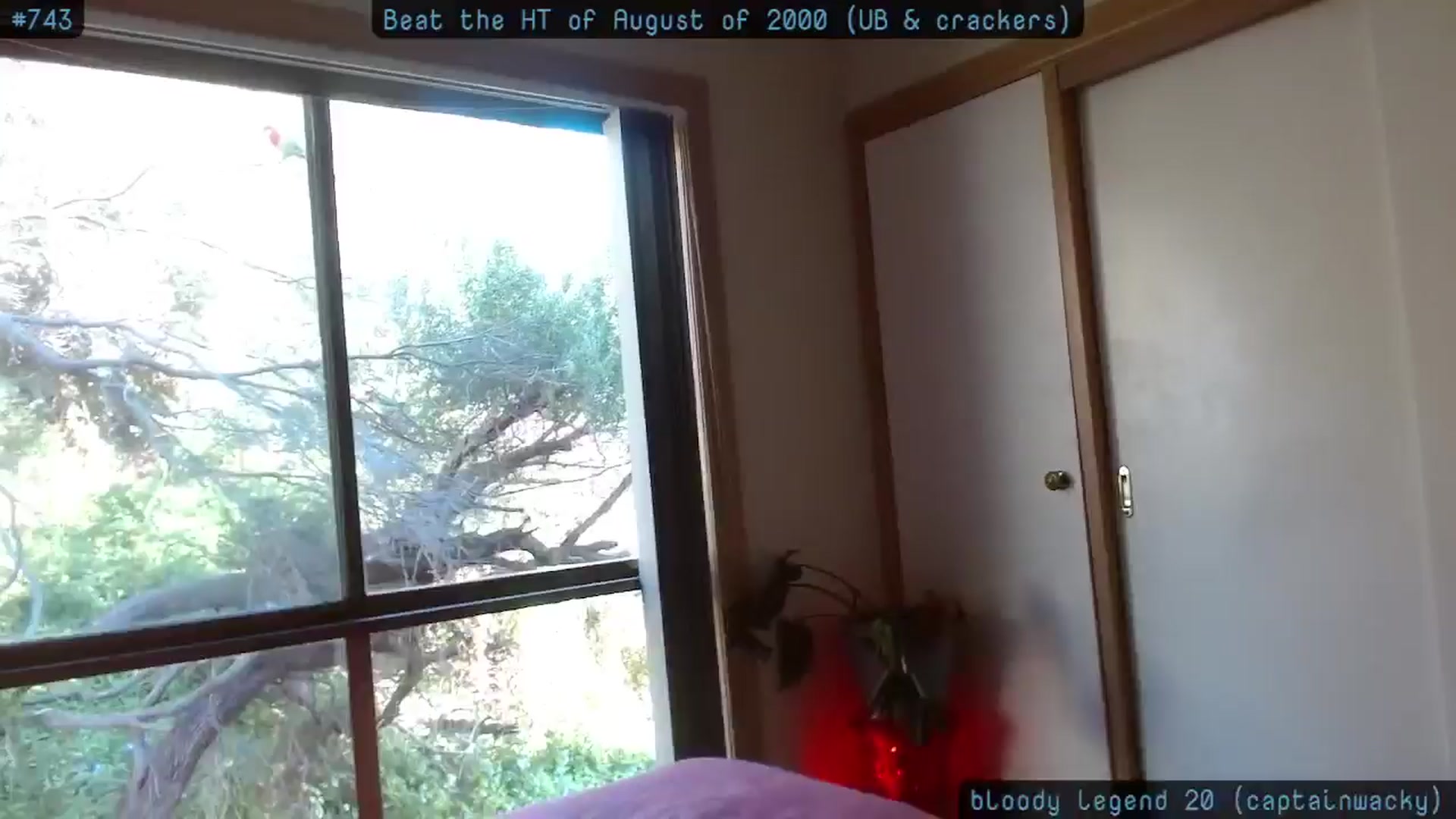 Gallery image thumbnail from HoneyTits_'s myfreecams stream on, 08/19/2024, 04:39 image 16 of 20