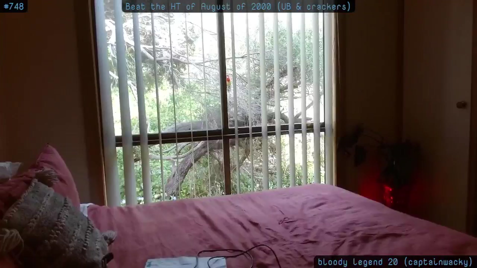 Gallery image thumbnail from HoneyTits_'s myfreecams stream on, 08/19/2024, 04:39 image 5 of 20