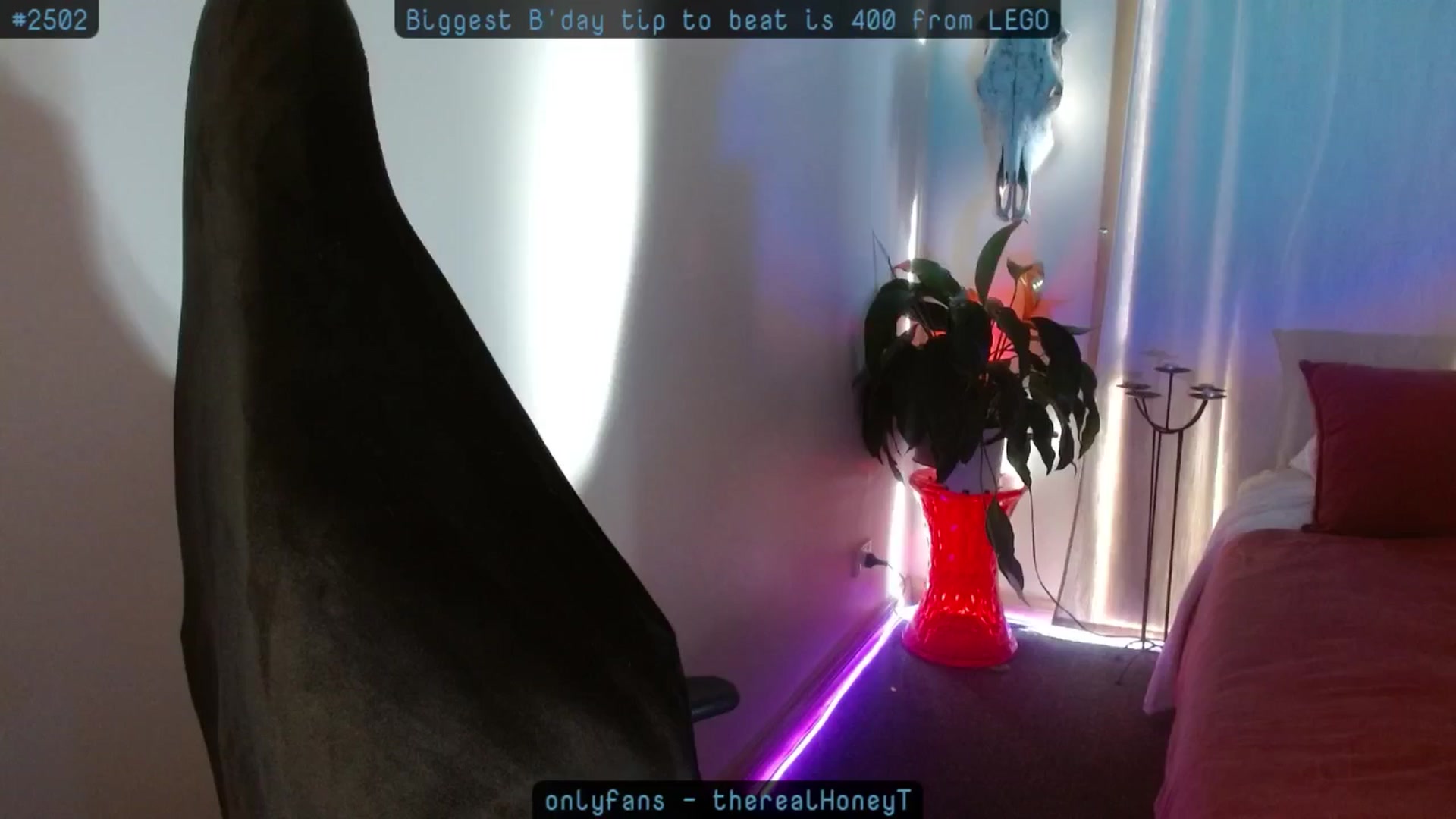 Gallery image thumbnail from HoneyTits_'s myfreecams stream on, 10/09/2024, 08:52 image 5 of 20