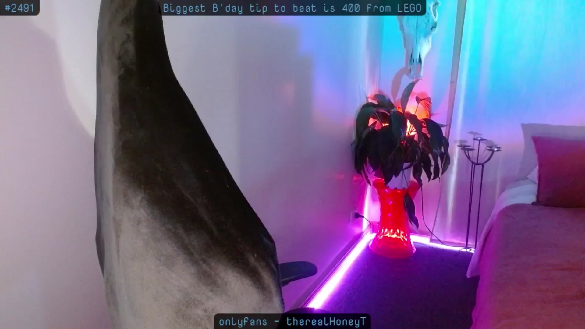 Gallery image thumbnail from HoneyTits_'s myfreecams stream on, 10/09/2024, 08:52 image 14 of 20