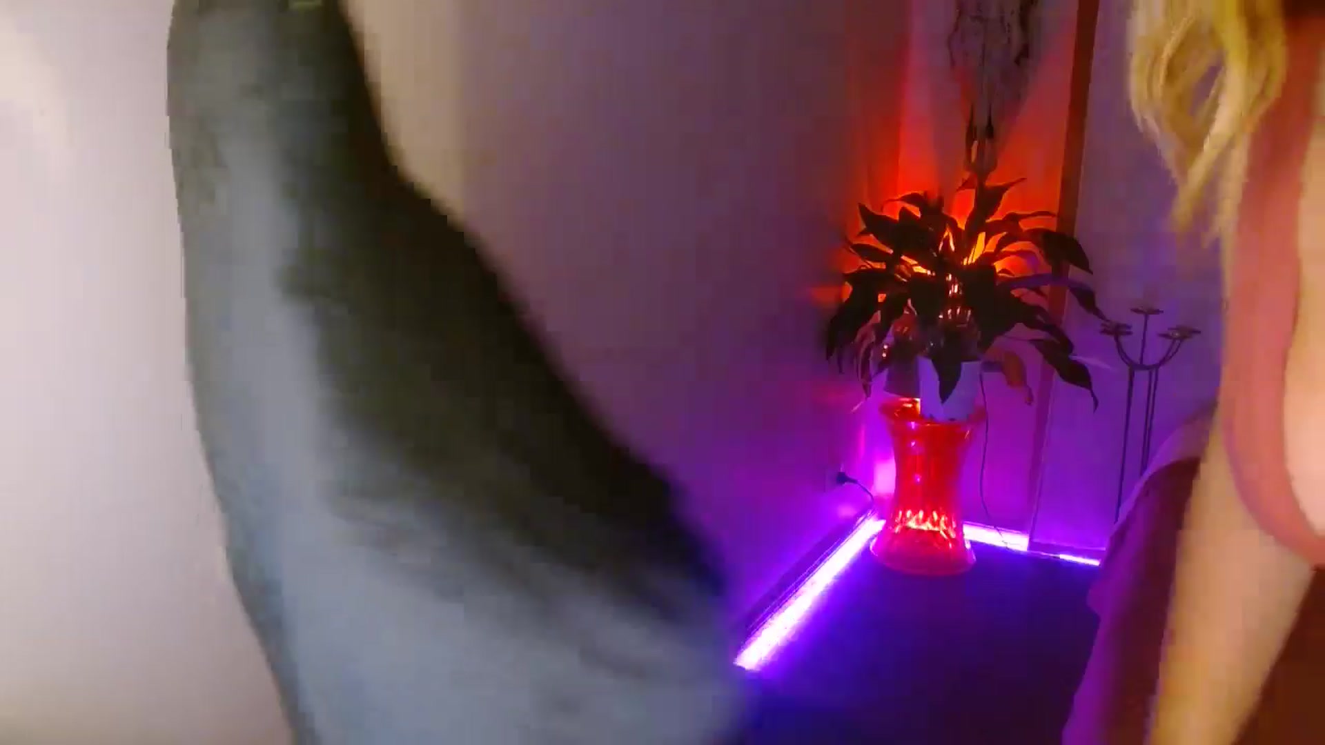 Gallery image thumbnail from HoneyTits_'s myfreecams stream on, 10/16/2024, 09:46 image 3 of 20