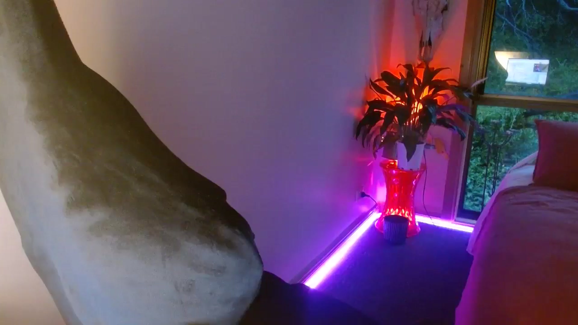 Gallery image thumbnail from HoneyTits_'s myfreecams stream on, 10/17/2024, 08:41 image 11 of 20