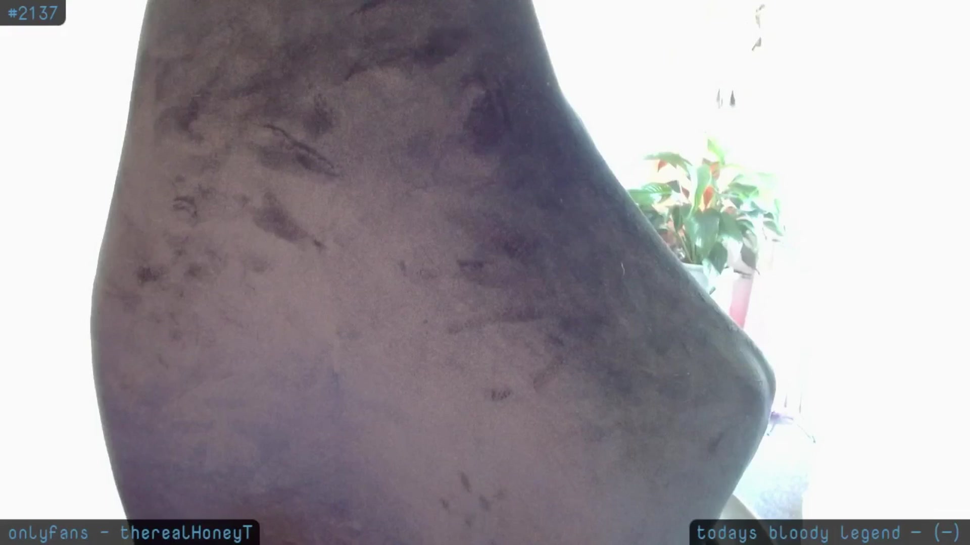Gallery image thumbnail from HoneyTits_'s myfreecams stream on, 11/07/2024, 03:27 image 10 of 20