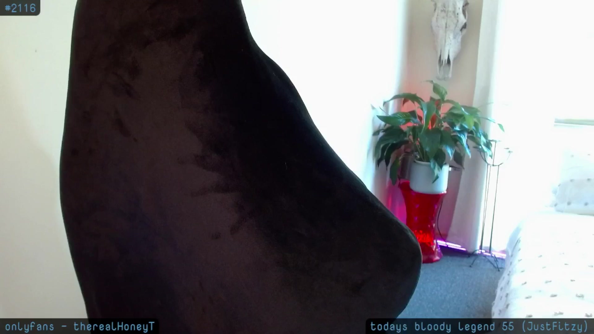 Gallery image thumbnail from HoneyTits_'s myfreecams stream on, 11/07/2024, 03:27 image 19 of 20