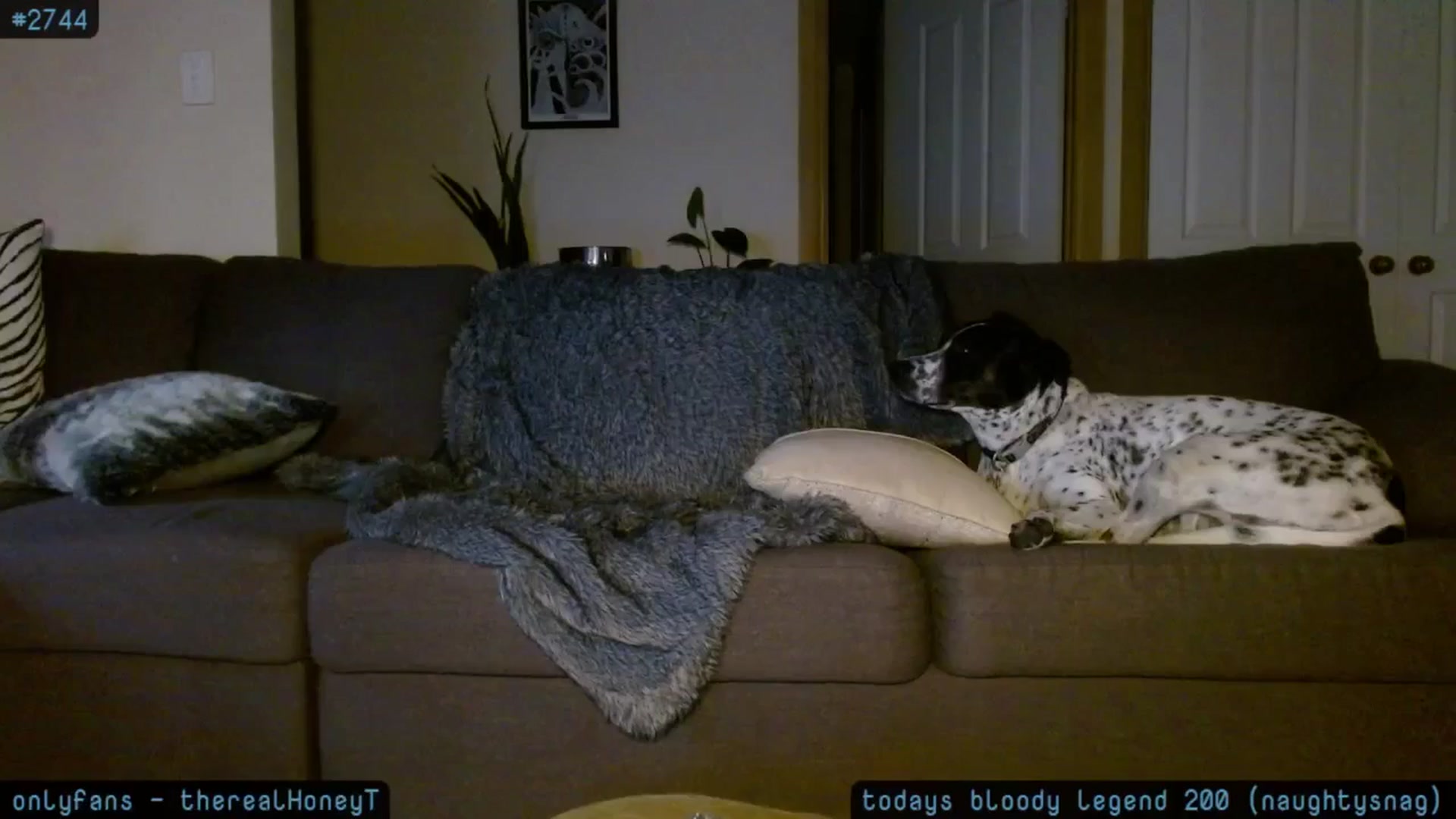 Gallery image thumbnail from HoneyTits_'s myfreecams stream on, 12/20/2024, 11:20 image 7 of 20