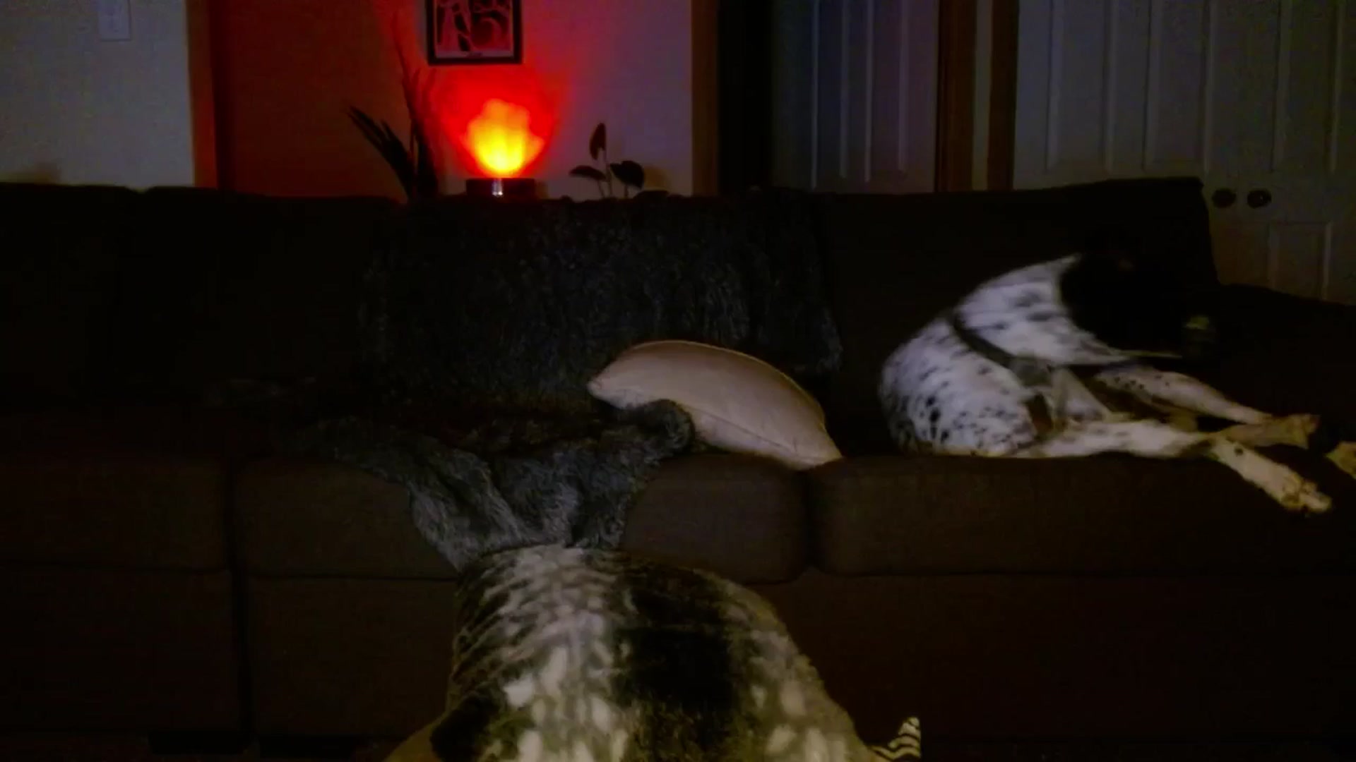 Gallery image thumbnail from HoneyTits_'s myfreecams stream on, 12/20/2024, 11:20 image 17 of 20