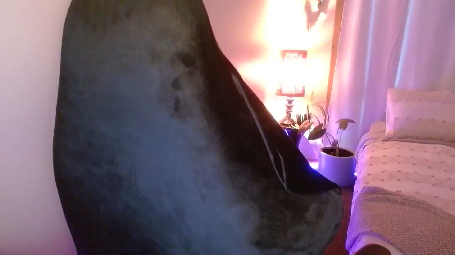 Gallery image thumbnail from HoneyTits_'s myfreecams stream on, 03/12/2025, 08:26 image 18 of 20