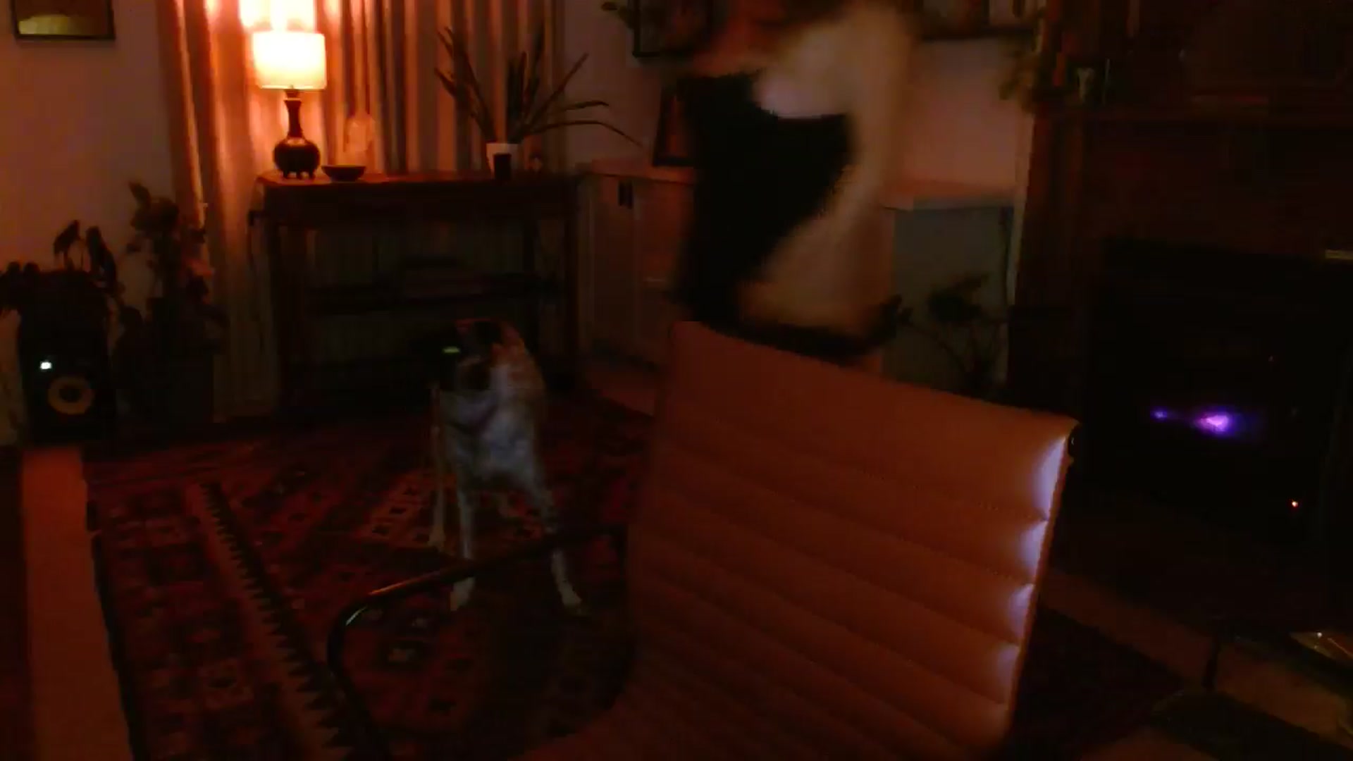 Gallery image thumbnail from HoneyTits_'s myfreecams stream on, 06/14/2025, 08:49 image 2 of 20