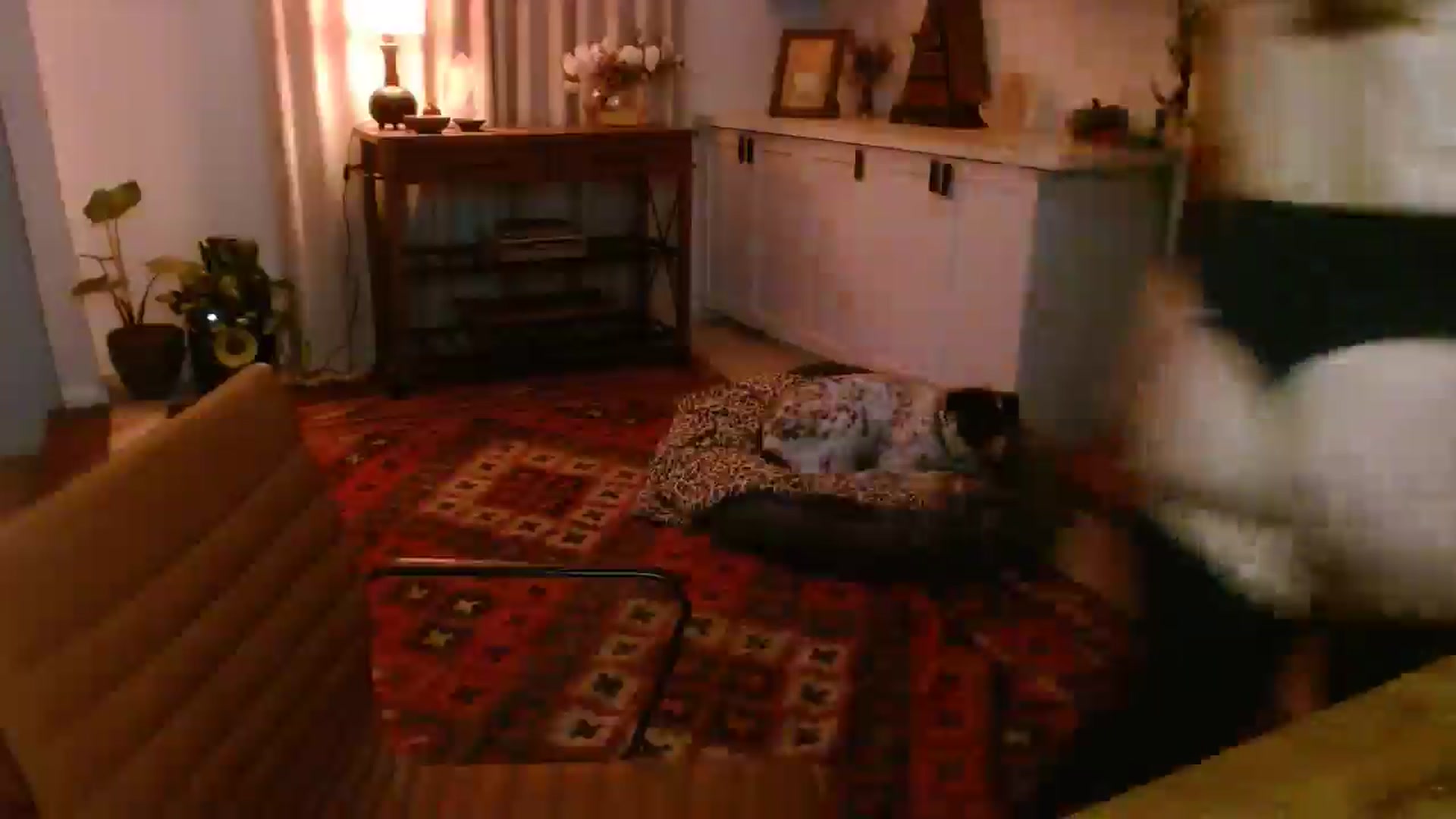 Gallery image thumbnail from HoneyTits_'s myfreecams stream on, 07/03/2025, 07:41 image 12 of 20