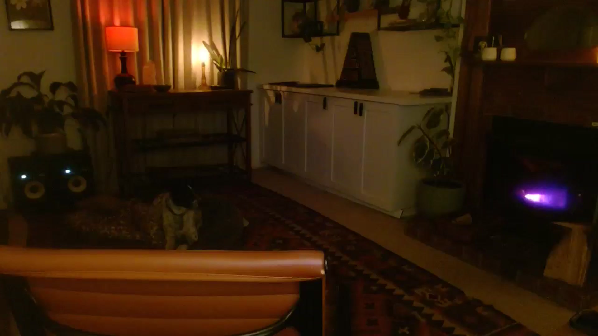Gallery image thumbnail from HoneyTits_'s myfreecams stream on, 07/16/2025, 09:37 image 20 of 20