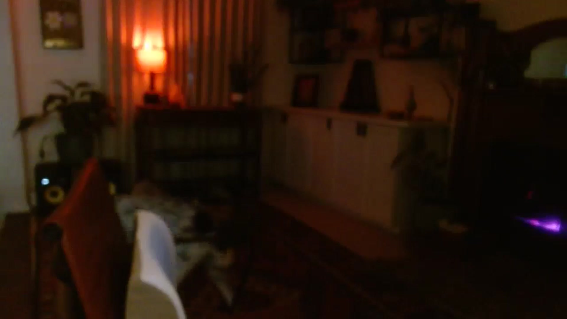 Gallery image thumbnail from HoneyTits_'s myfreecams stream on, 08/13/2025, 08:58 image 12 of 20
