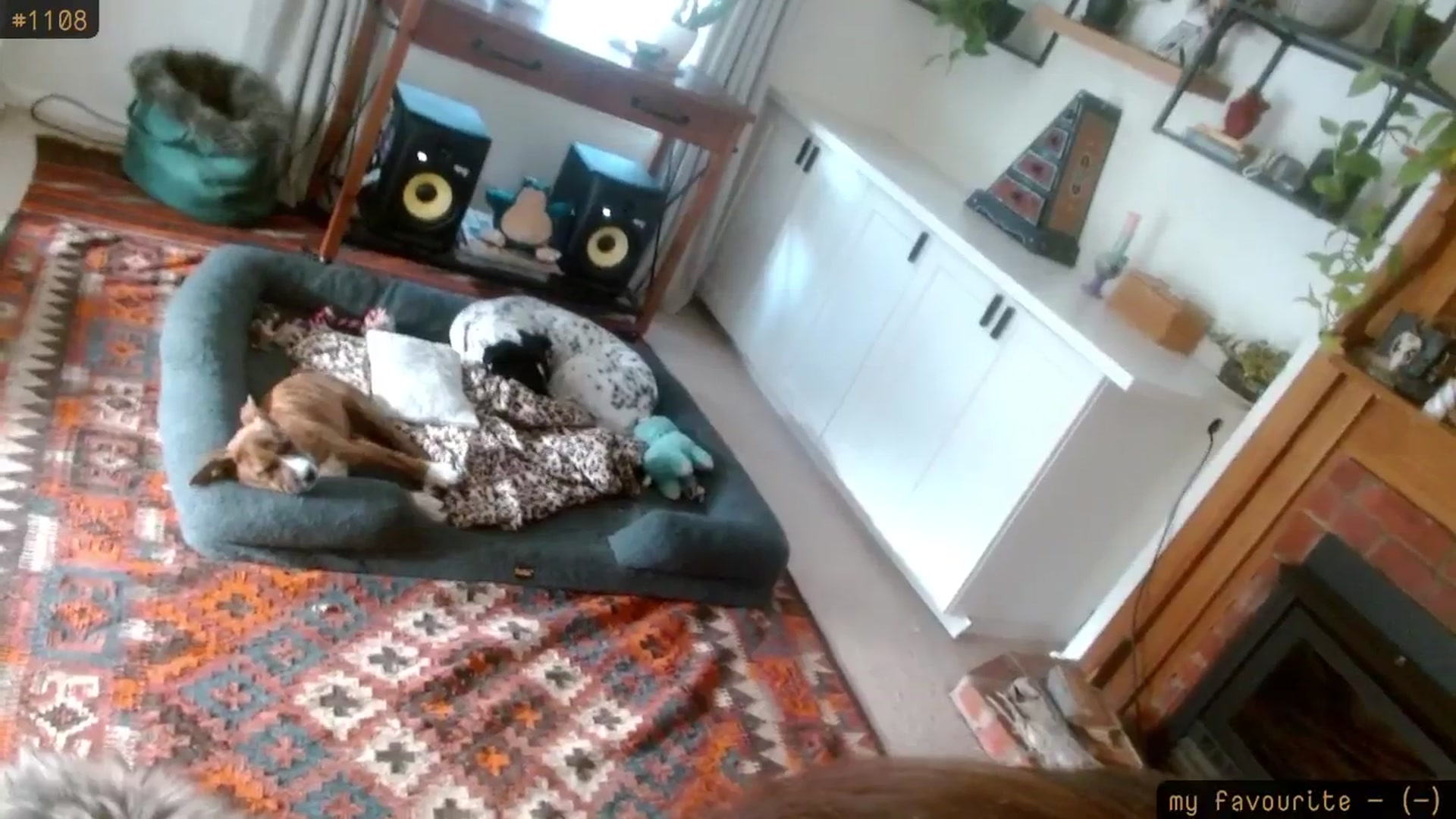 Gallery image thumbnail from HoneyTits_'s myfreecams stream on, 09/18/2025, 09:12 image 3 of 20