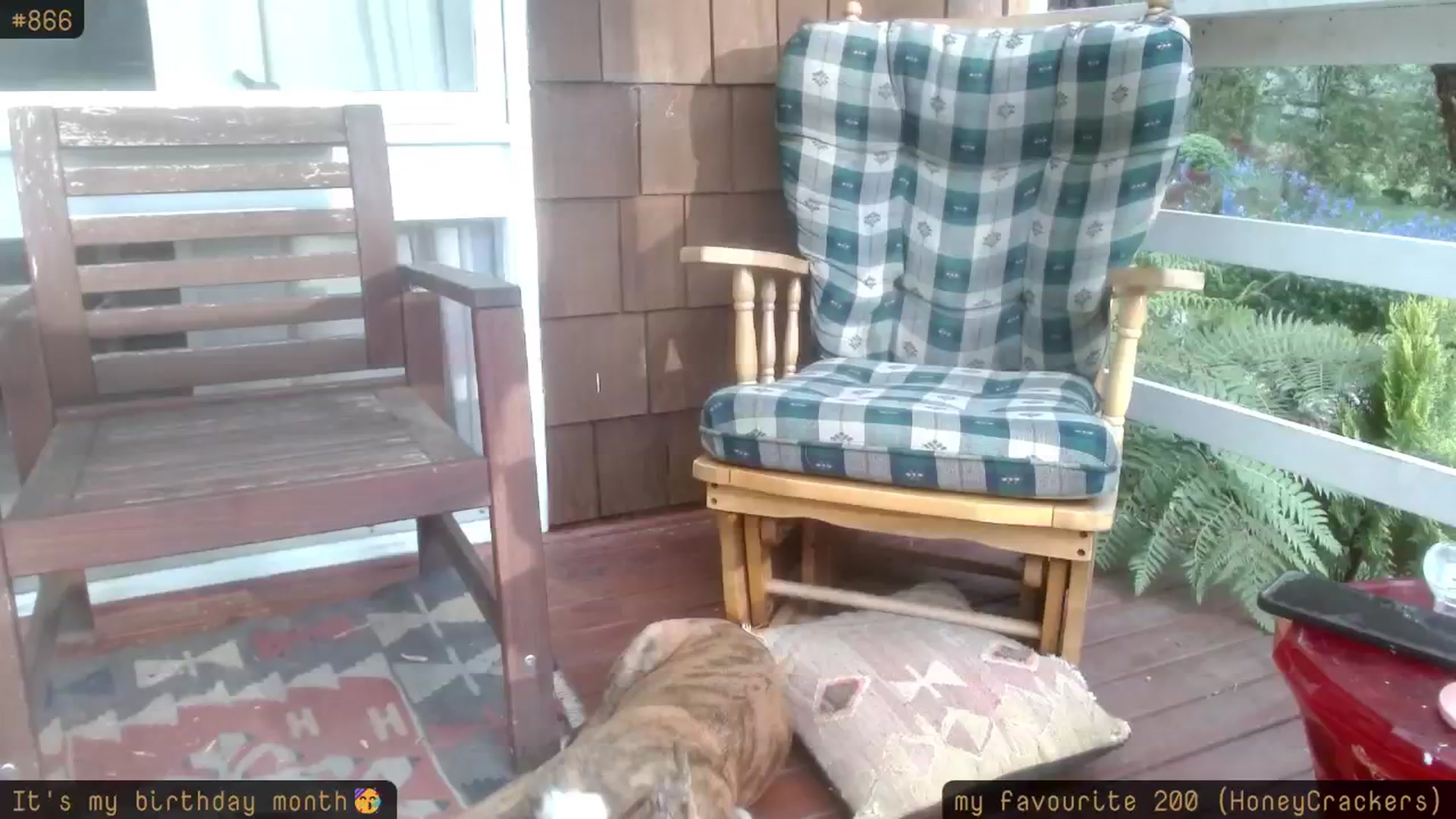 Gallery image thumbnail from HoneyTits_'s myfreecams stream on, 10/08/2025, 07:54 image 16 of 20