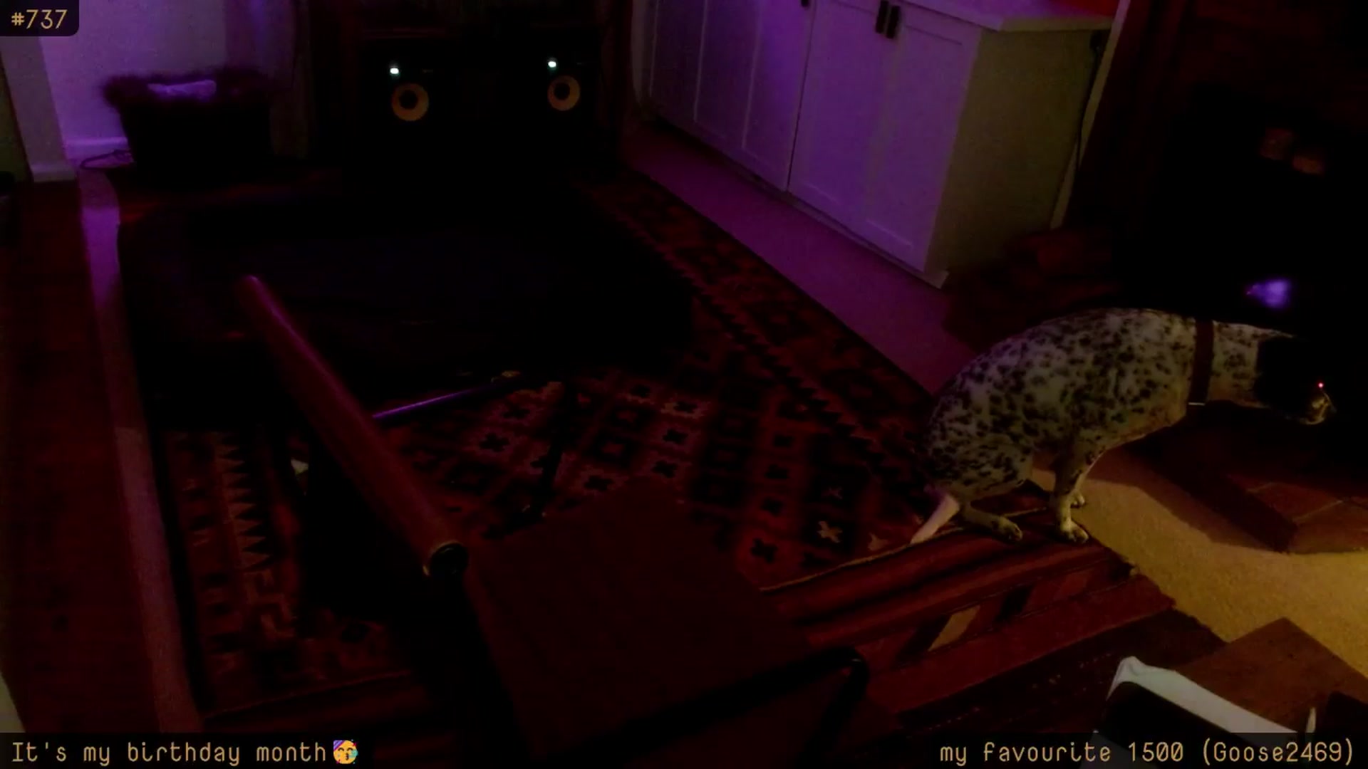 Gallery image thumbnail from HoneyTits_'s myfreecams stream on, 10/12/2025, 10:09 image 15 of 20