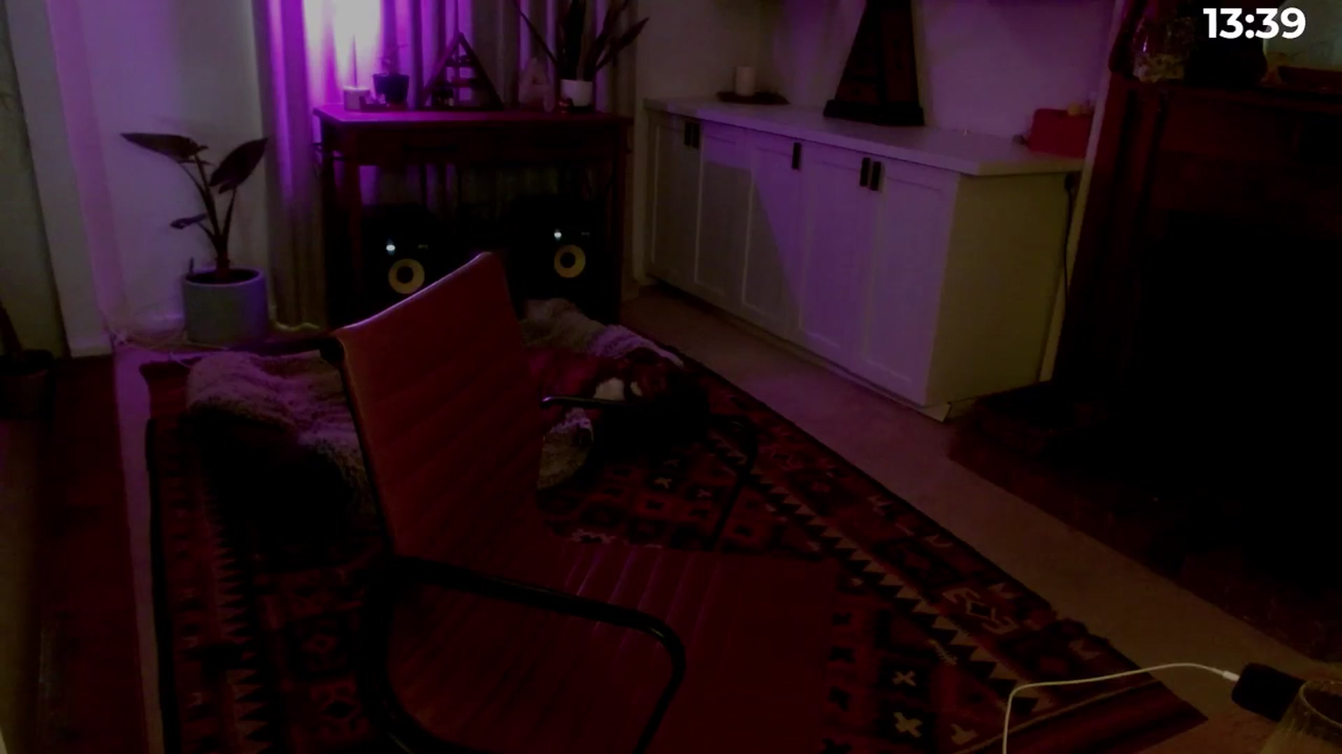 Gallery image thumbnail from HoneyTits_'s myfreecams stream on, 12/11/2025, 07:35 image 16 of 20