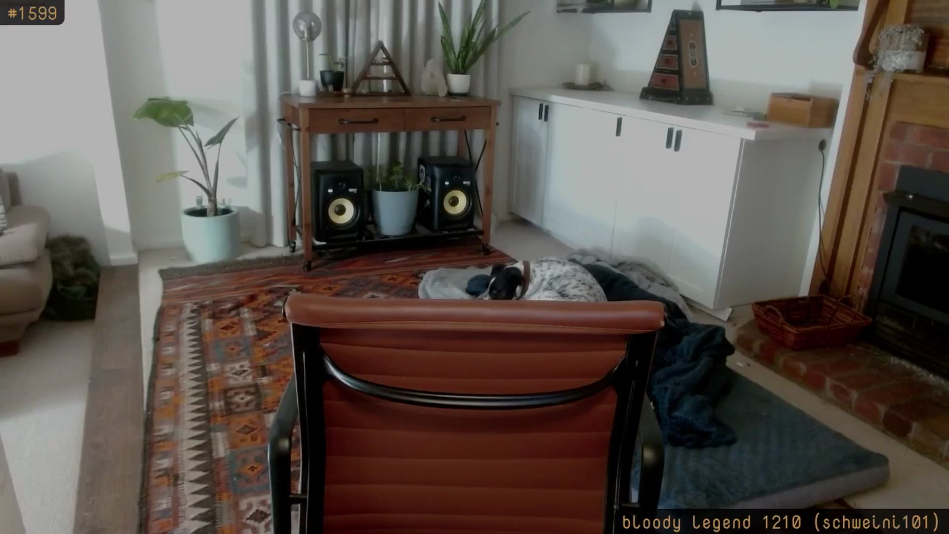 Gallery image thumbnail from HoneyTits_'s myfreecams stream on, 12/28/2025, 09:13 image 12 of 20