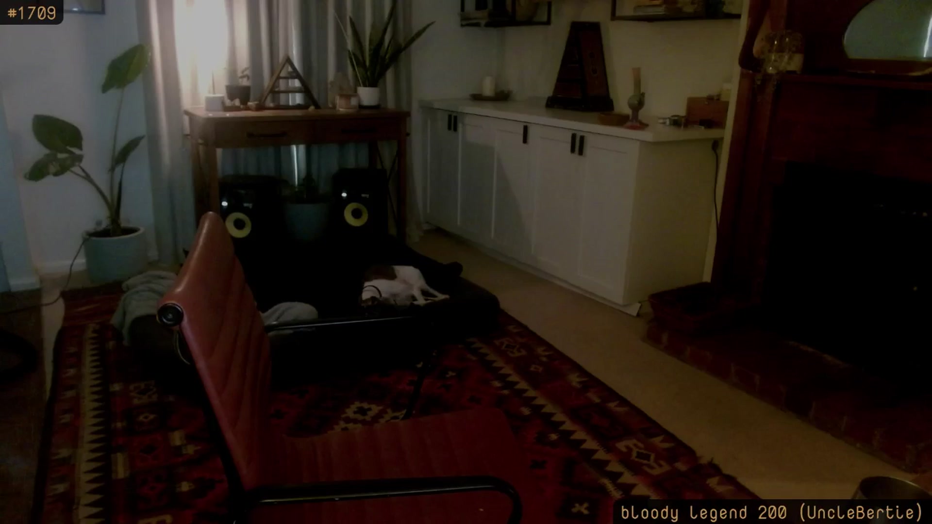 Gallery image thumbnail from HoneyTits_'s myfreecams stream on, 01/15/2026, 09:18 image 4 of 20