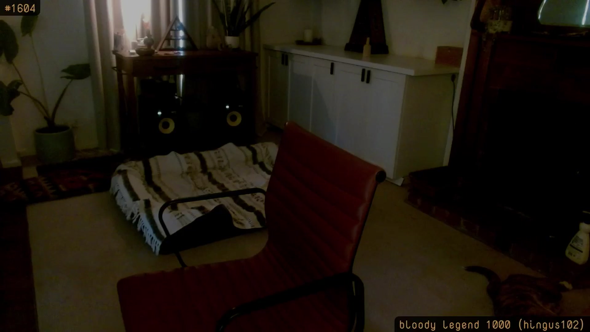 Gallery image thumbnail from HoneyTits_'s myfreecams stream on, 02/03/2026, 08:54 image 12 of 20