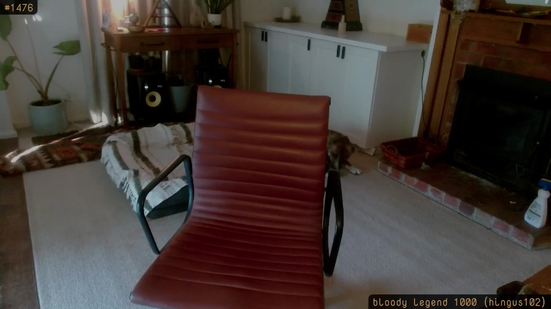 Gallery image thumbnail from HoneyTits_'s myfreecams stream on, 02/03/2026, 08:54 image 16 of 20