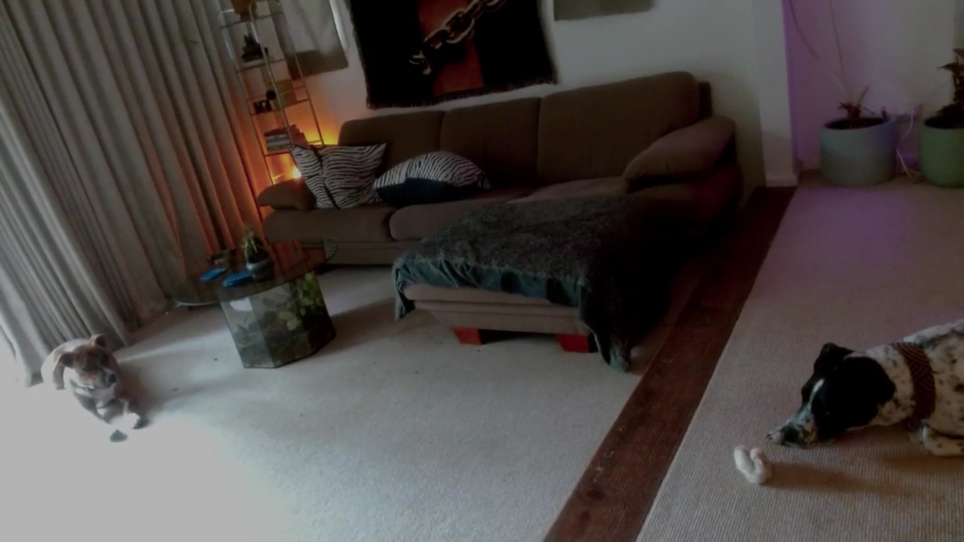 Gallery image thumbnail from HoneyTits_'s myfreecams stream on, 03/16/2026, 06:14 image 18 of 20