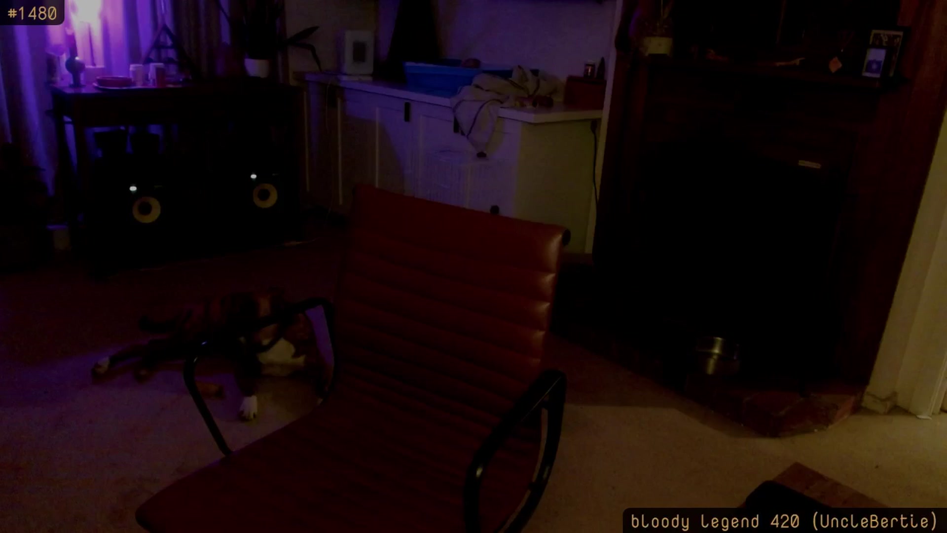 Gallery image thumbnail from HoneyTits_'s myfreecams stream on, 03/18/2026, 09:44 image 13 of 20