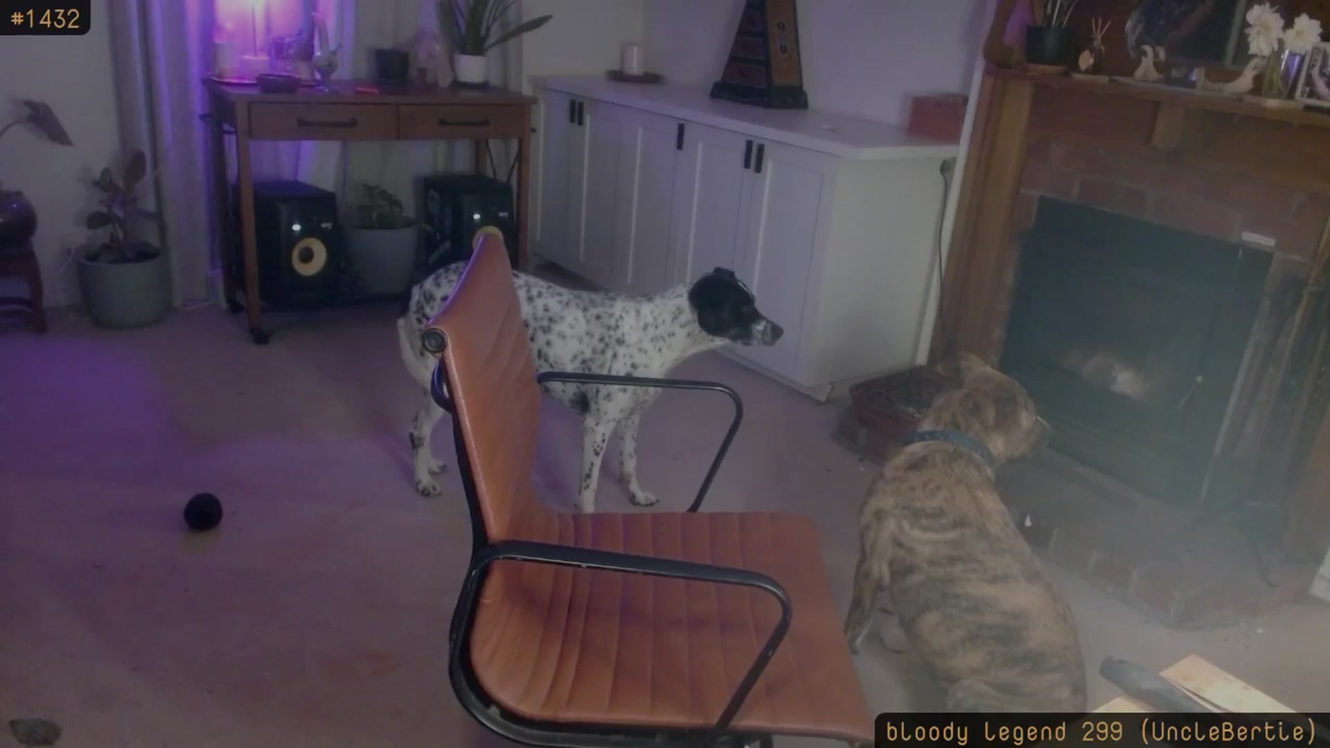 Gallery image thumbnail from HoneyTits_'s myfreecams stream on, 04/29/2026, 08:36 image 4 of 20