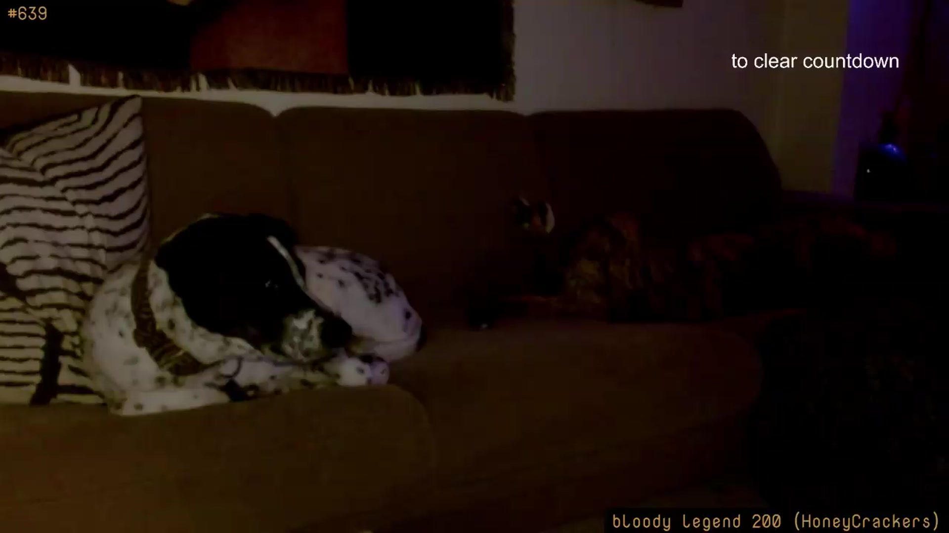Gallery image thumbnail from HoneyTits_'s myfreecams stream on, 06/02/2026, 08:30 image 17 of 20