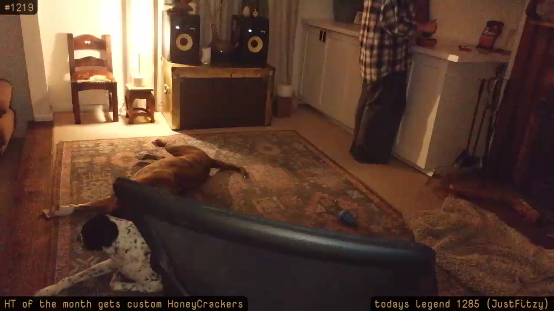 Gallery image thumbnail from HoneyTits_'s myfreecams stream on, 07/31/2026, 08:51 image 15 of 20